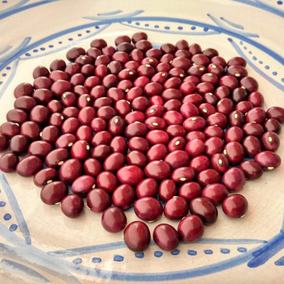 Boliche rojo Boliche rojo