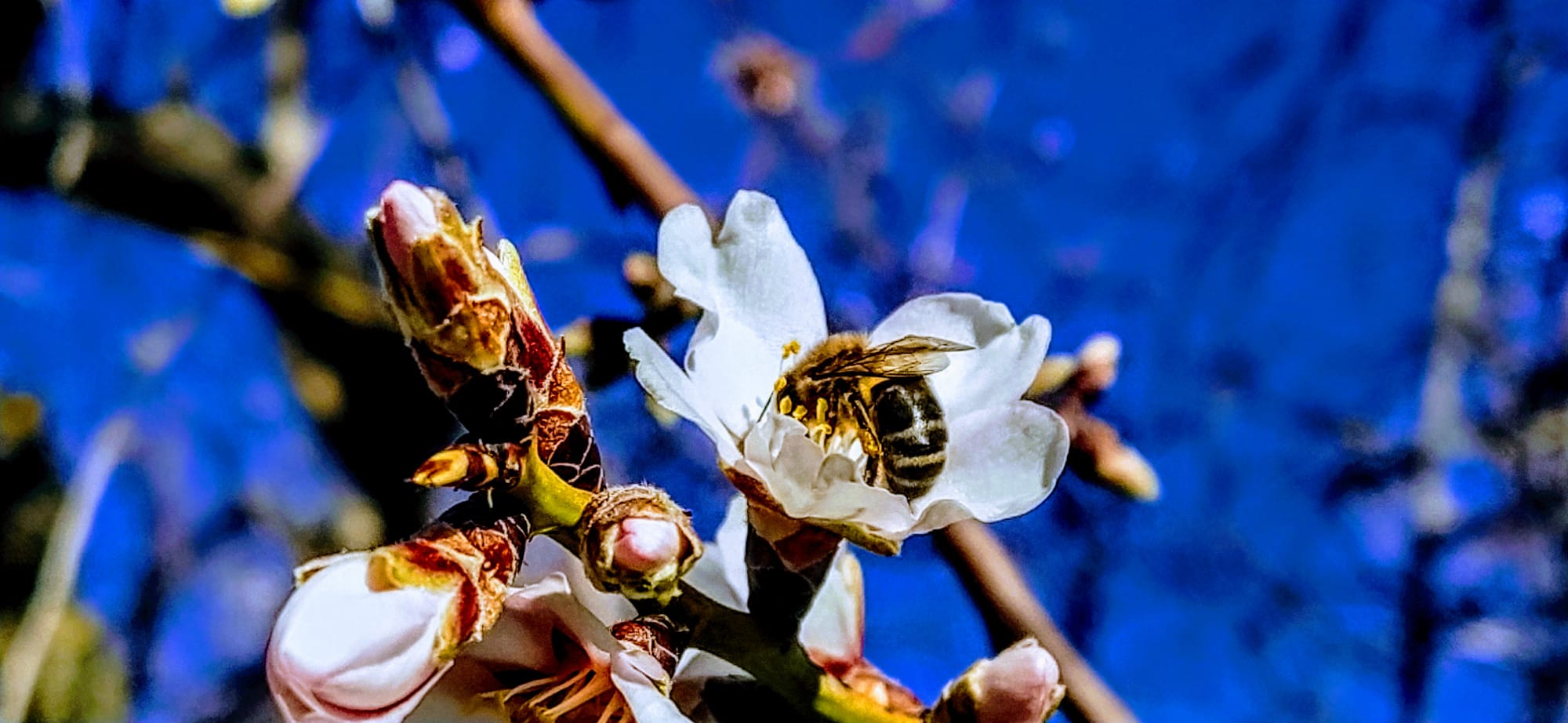 La naturaleza es imparable en sus ciclos. Foto Joaquín Santafé