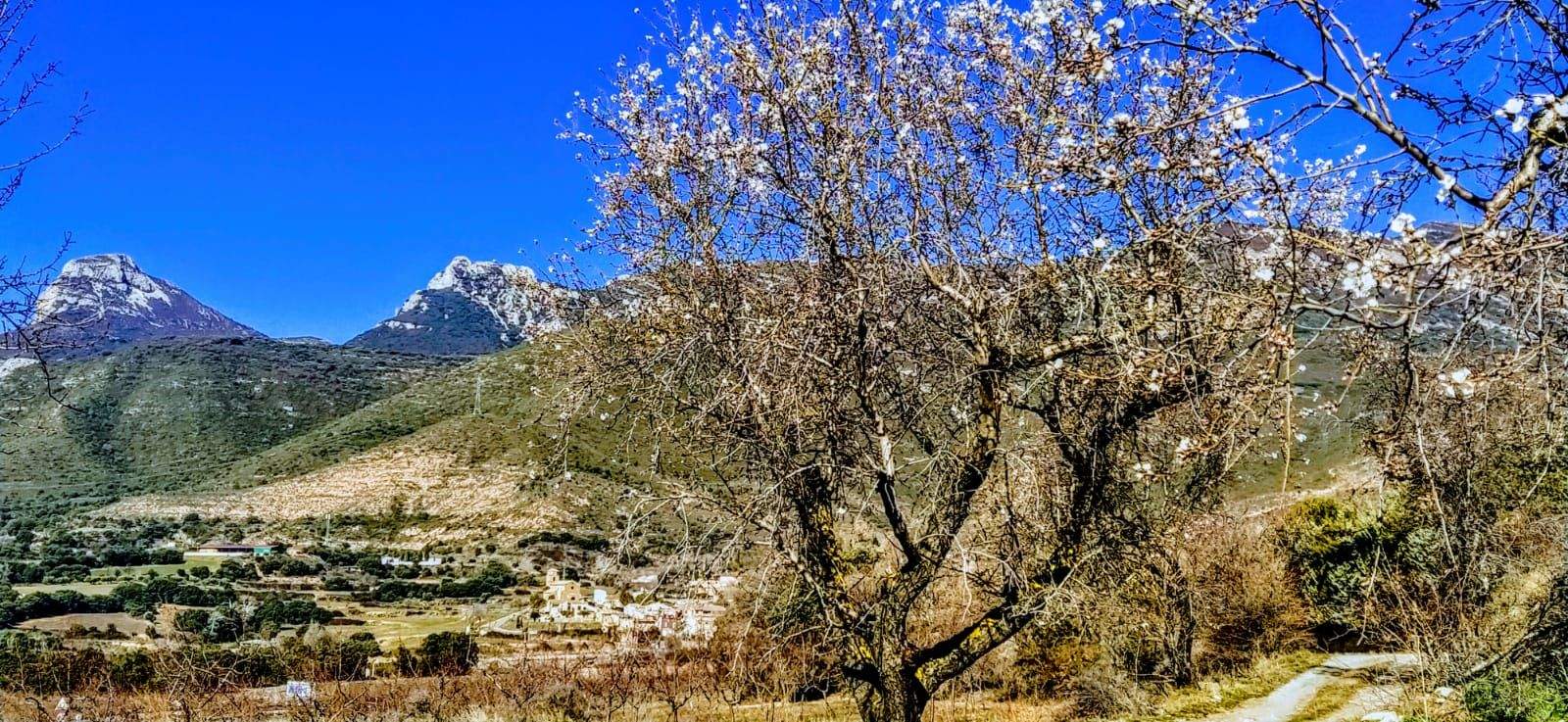 En plena Sierra de Gratal, con su pico a la vista. Foto Joaquín Santafé