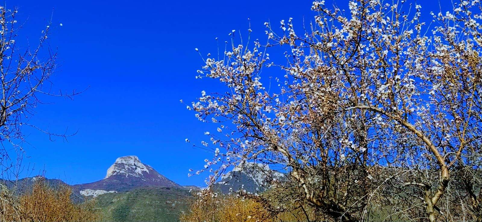 Entorno de Nueno. Foto Joaquín Santafé