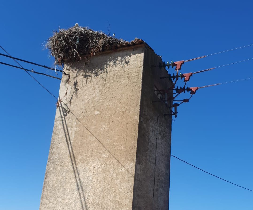 Transformador con el nido de cigüeñas en lo más alto