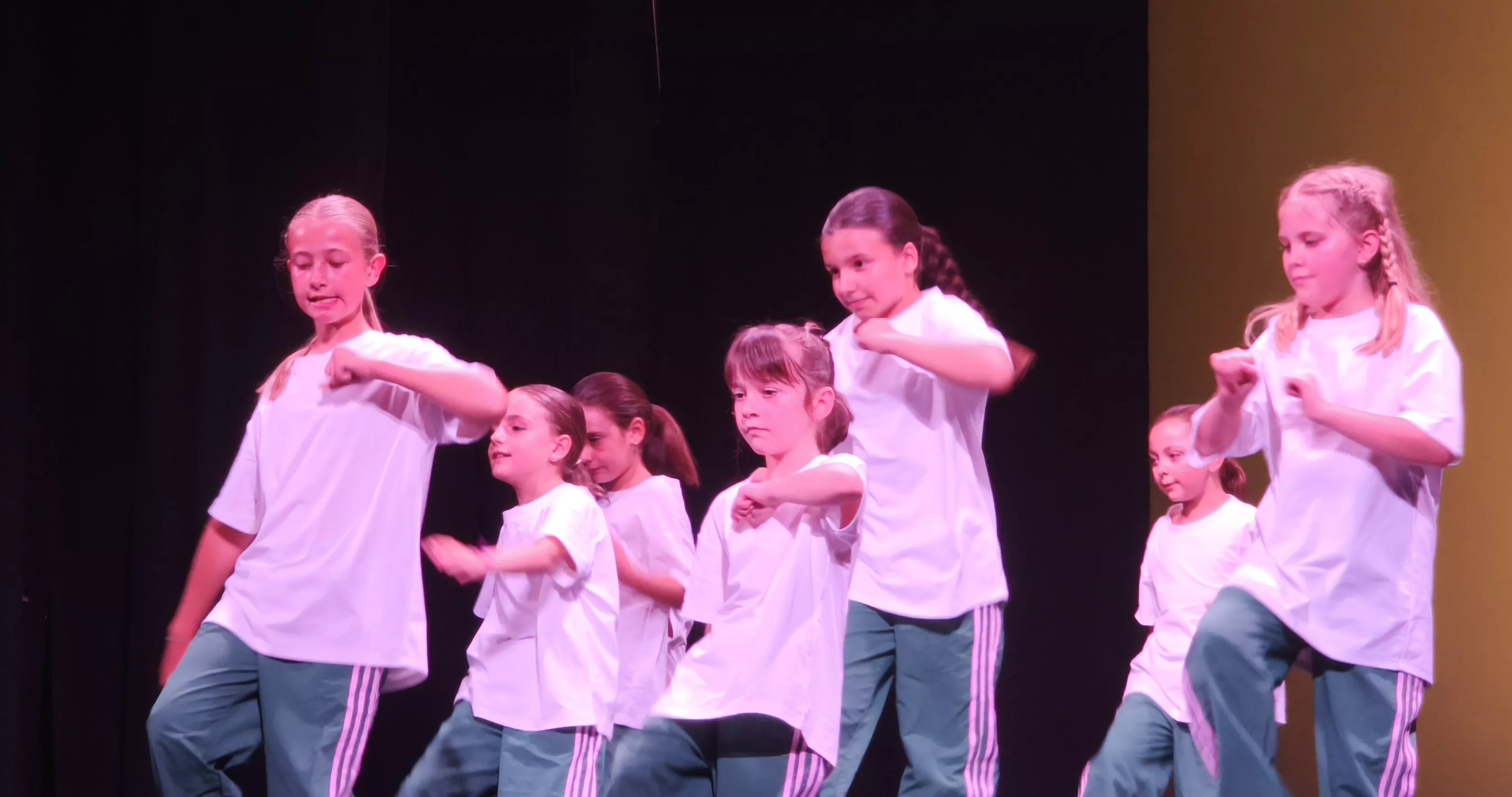 FestiFlow de Bailalé Huesca. Foto María José Sampietro Brosed