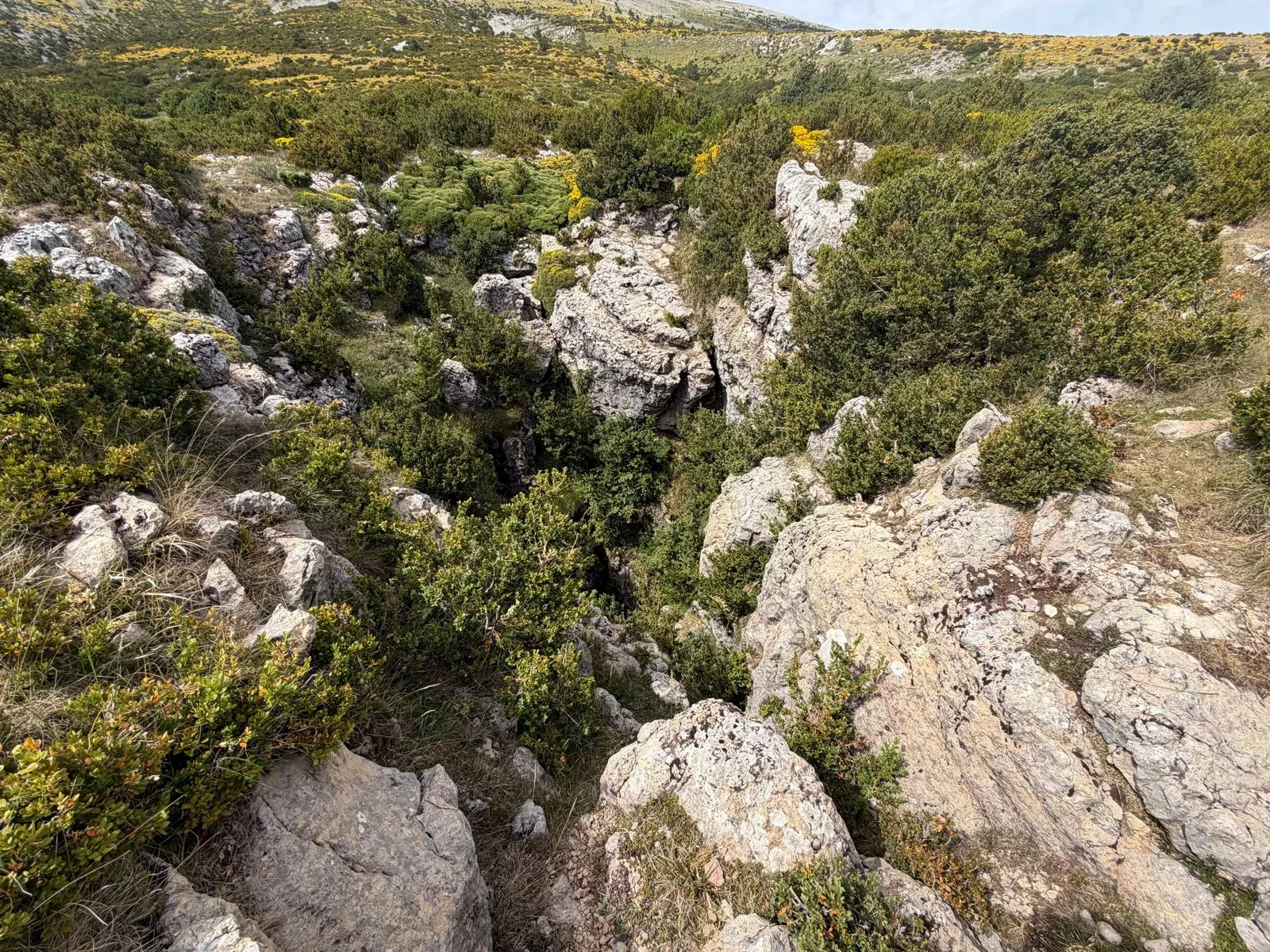 Séptimo de los 12 Retos 12 Cimas al pico de Cublars en Guara. Foto Niko Alonso