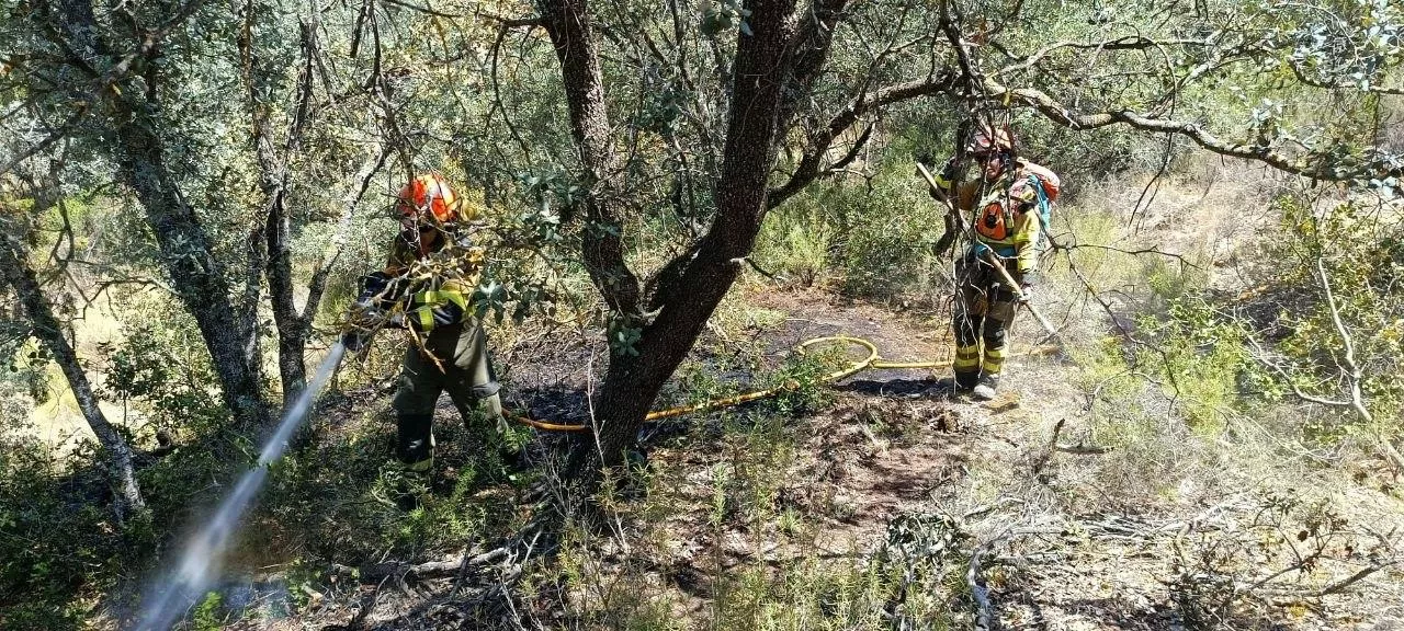 Trabajos del Infoar en la zona afectada por el incendio de Tamarite.