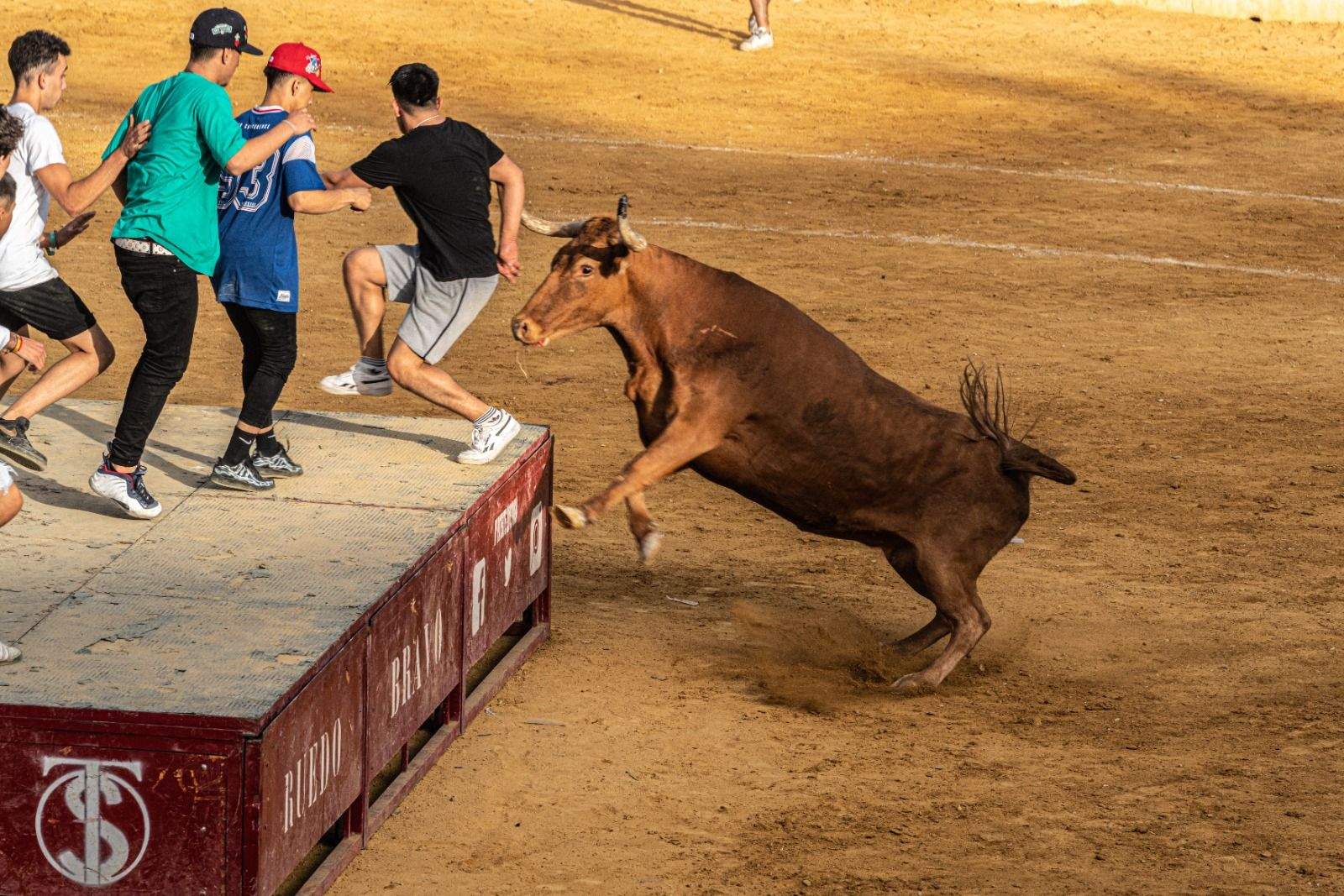 Vaquillas en la jornada de este sábado. Foto José Antonio Terrón 