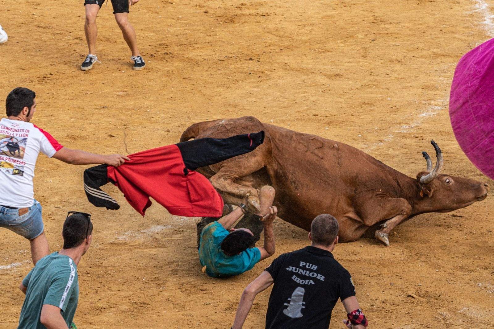 Vaquillas en la jornada de este sábado. Foto José Antonio Terrón 