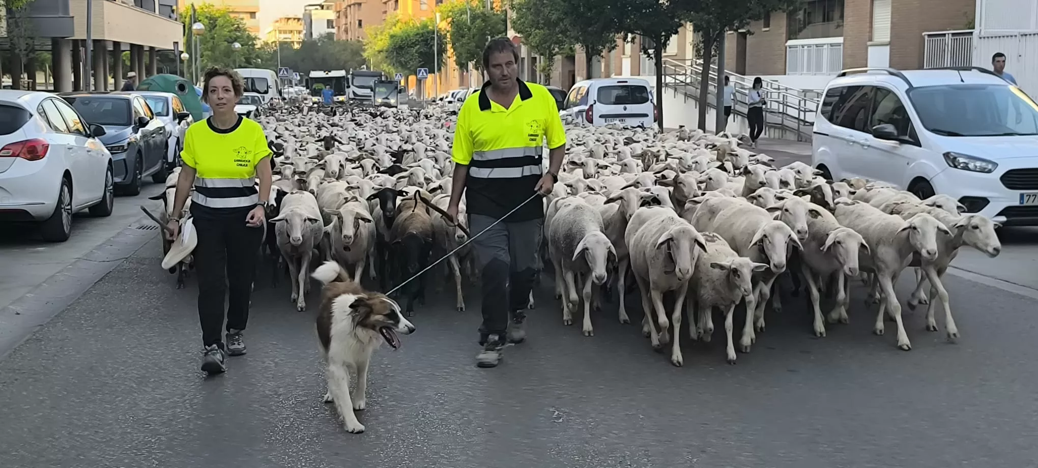 Trashumancia con los pastores de Casa Chilica al Ibón de Ip. Foto Joaquín Santafé