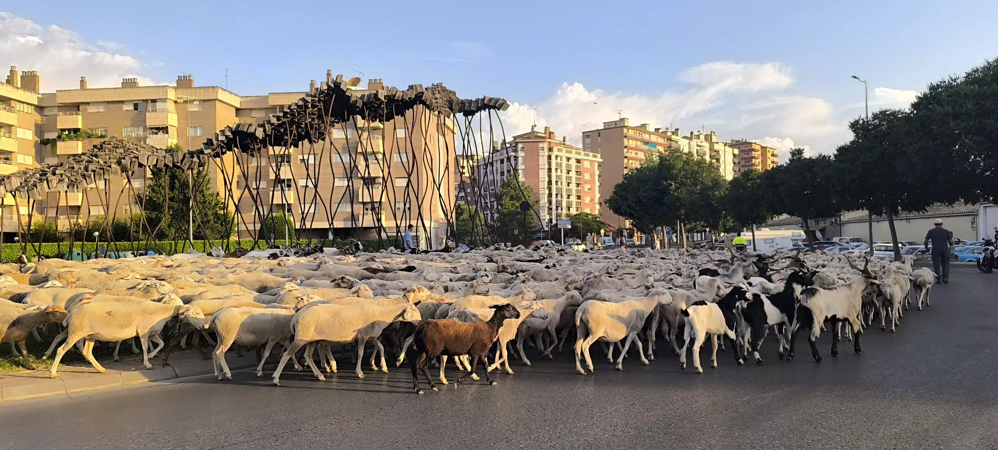 Trashumancia con los pastores de Casa Chilica al Ibón de Ip. Foto Joaquín Santafé