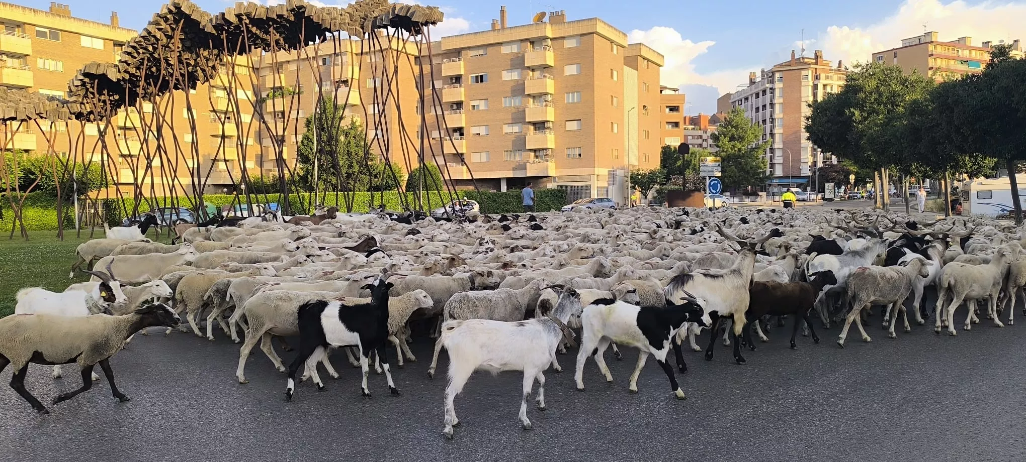 Trashumancia con los pastores de Casa Chilica al Ibón de Ip. Foto Joaquín Santafé