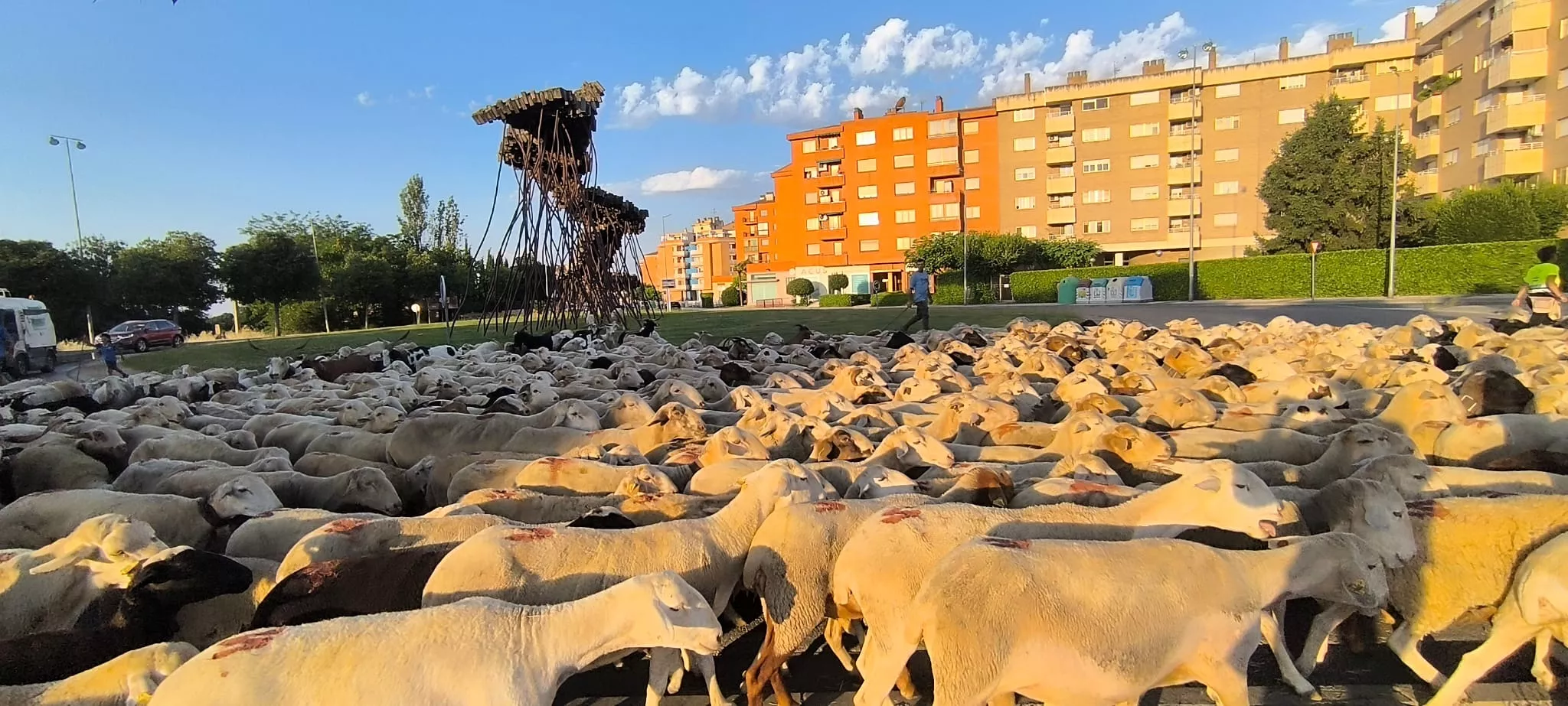 Trashumancia con los pastores de Casa Chilica al Ibón de Ip. Foto Joaquín Santafé
