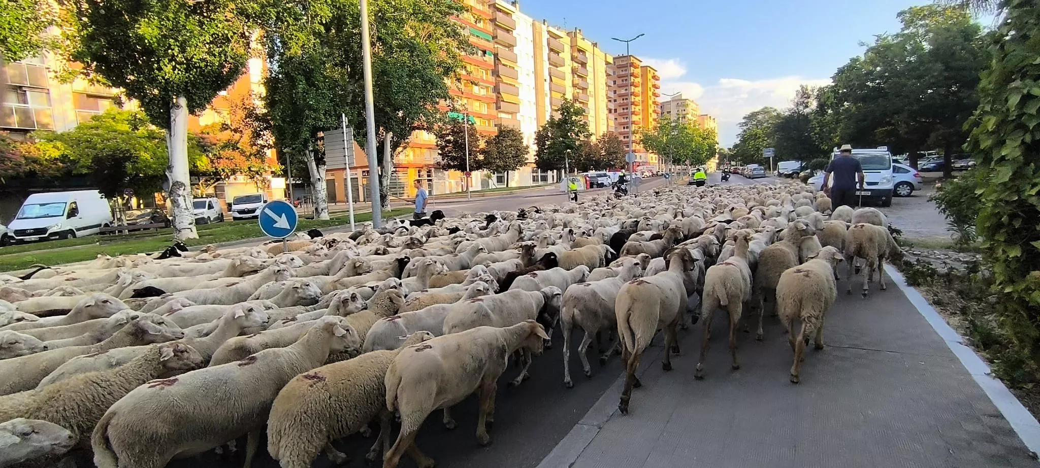 Trashumancia con los pastores de Casa Chilica al Ibón de Ip. Foto Joaquín Santafé