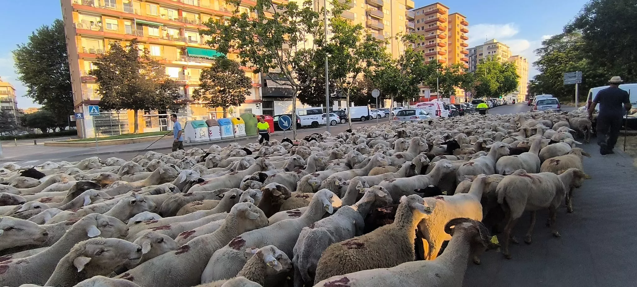 Trashumancia con los pastores de Casa Chilica al Ibón de Ip. Foto Joaquín Santafé