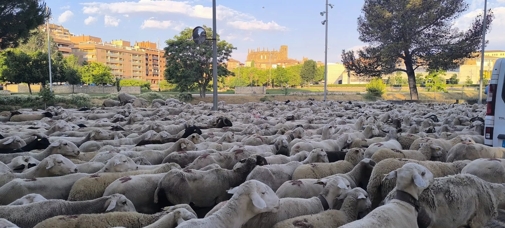 Trashumancia con los pastores de Casa Chilica al Ibón de Ip. Foto Joaquín Santafé