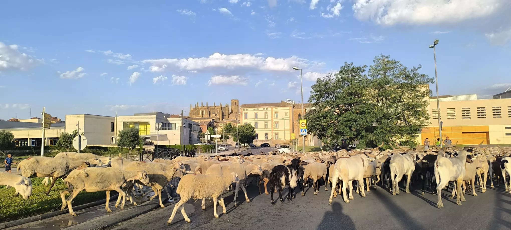 Trashumancia con los pastores de Casa Chilica al Ibón de Ip. Foto Joaquín Santafé