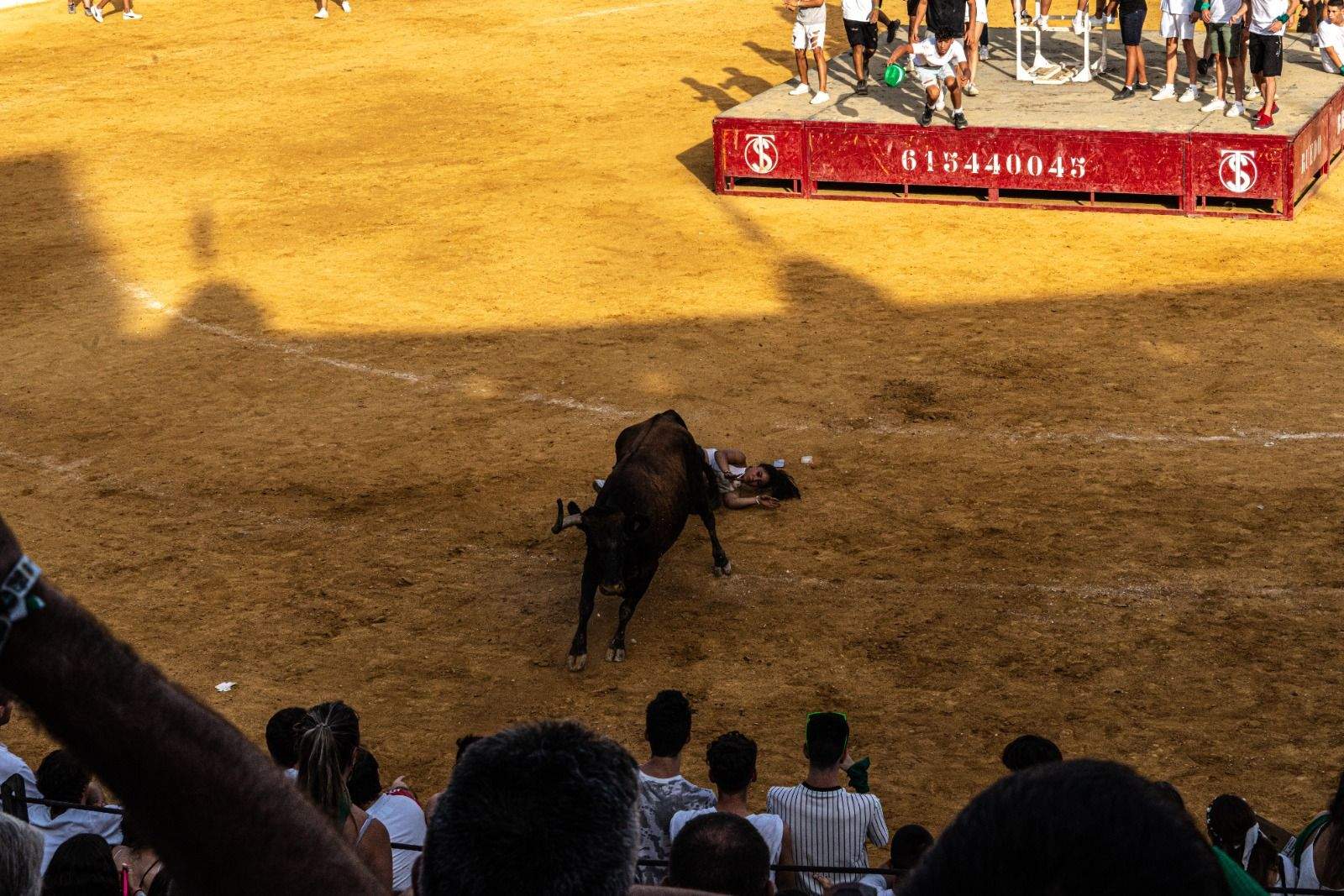 Vaquillas en la jornada de este sábado. Foto José Antonio Terrón 