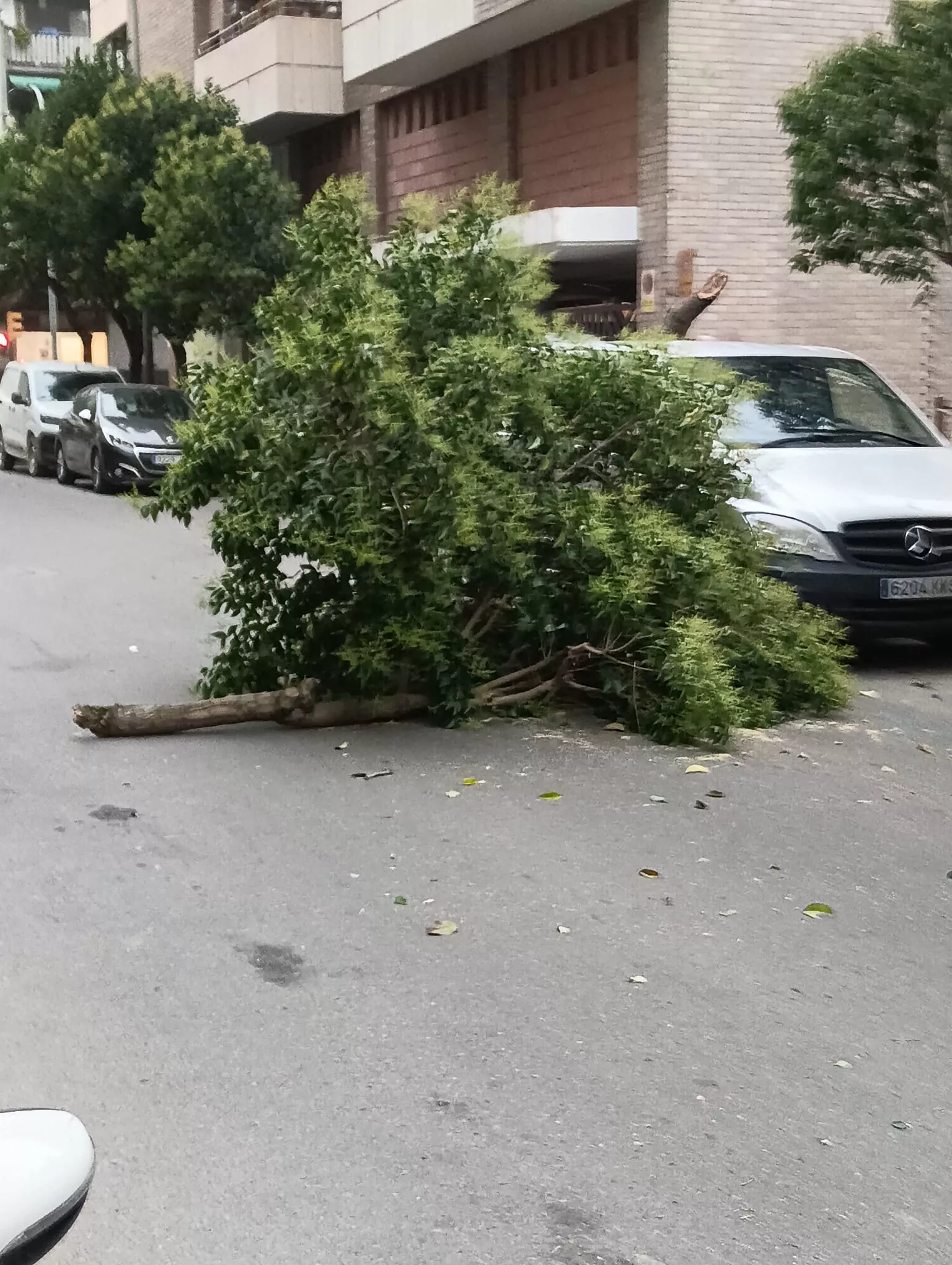 Calle Santo Ángel de la Guarda.  El fuerte viento deja las primeras incidencias en Huesca y obliga a intervenir a los Bomberos.