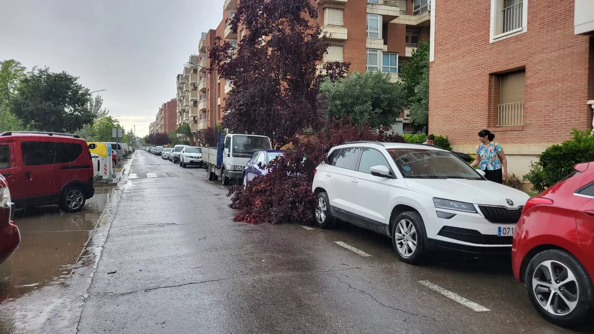 Efectos de la tormenta de este domingo en Los Olivos 19.