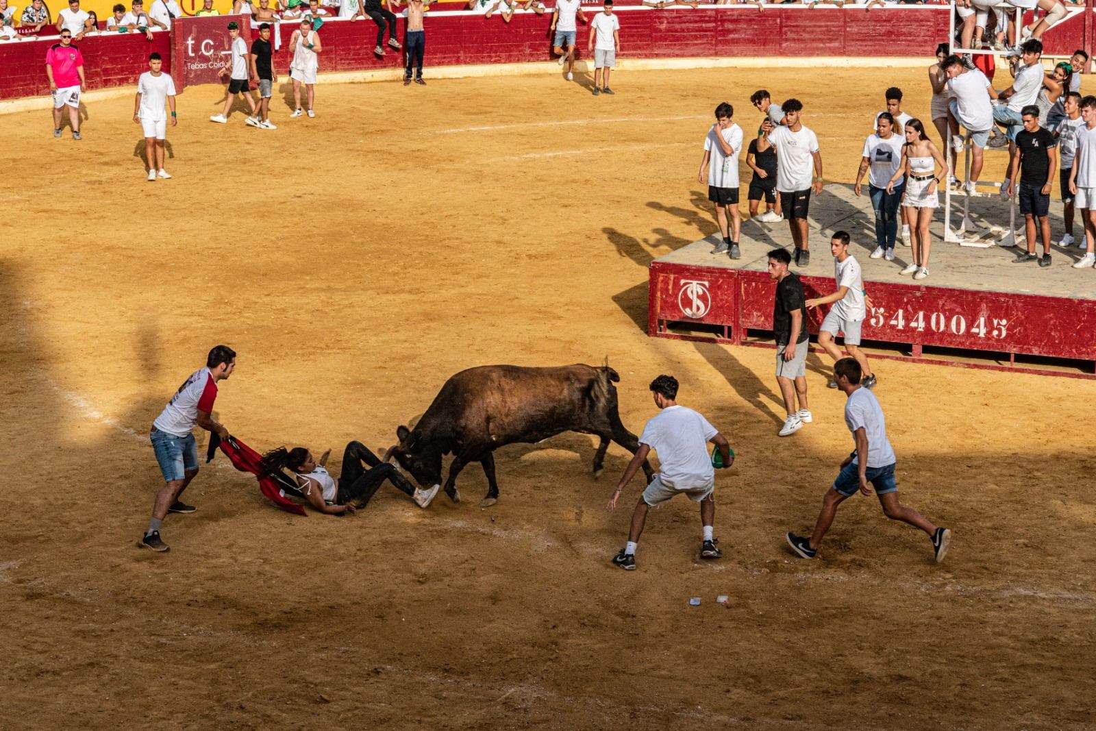 Vaquillas en la jornada de este sábado. Foto José Antonio Terrón 
