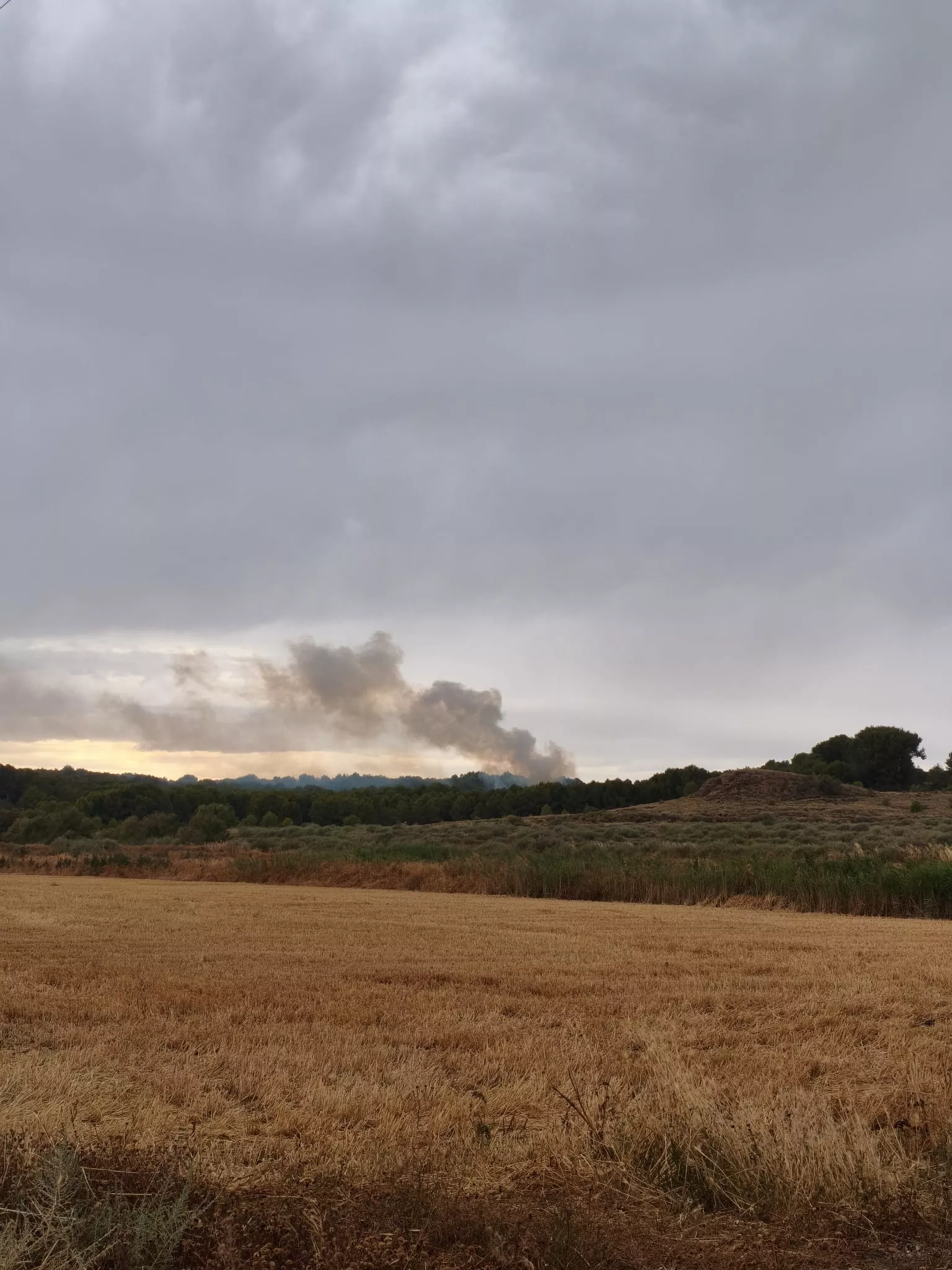Un rayo ha causado un incendio en Almuniente.