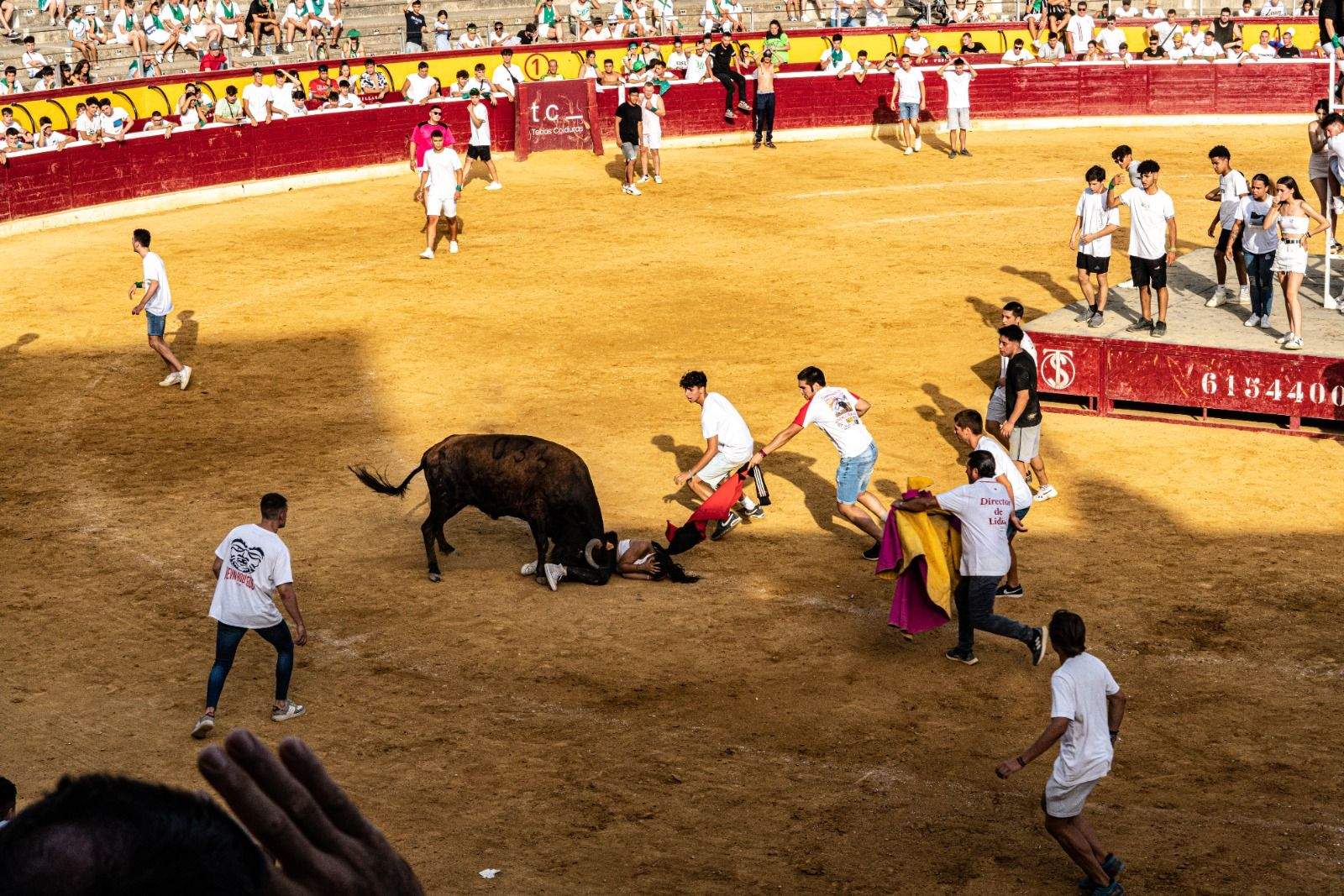 Vaquillas en la jornada de este sábado. Foto José Antonio Terrón 