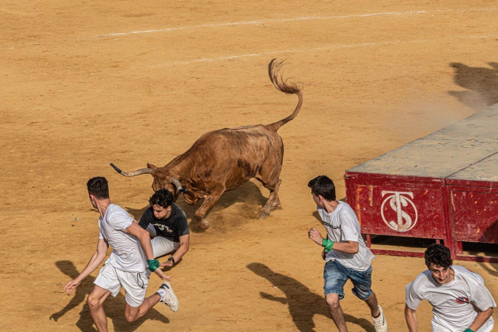 Vaquillas en la jornada de este sábado. Foto José Antonio Terrón 