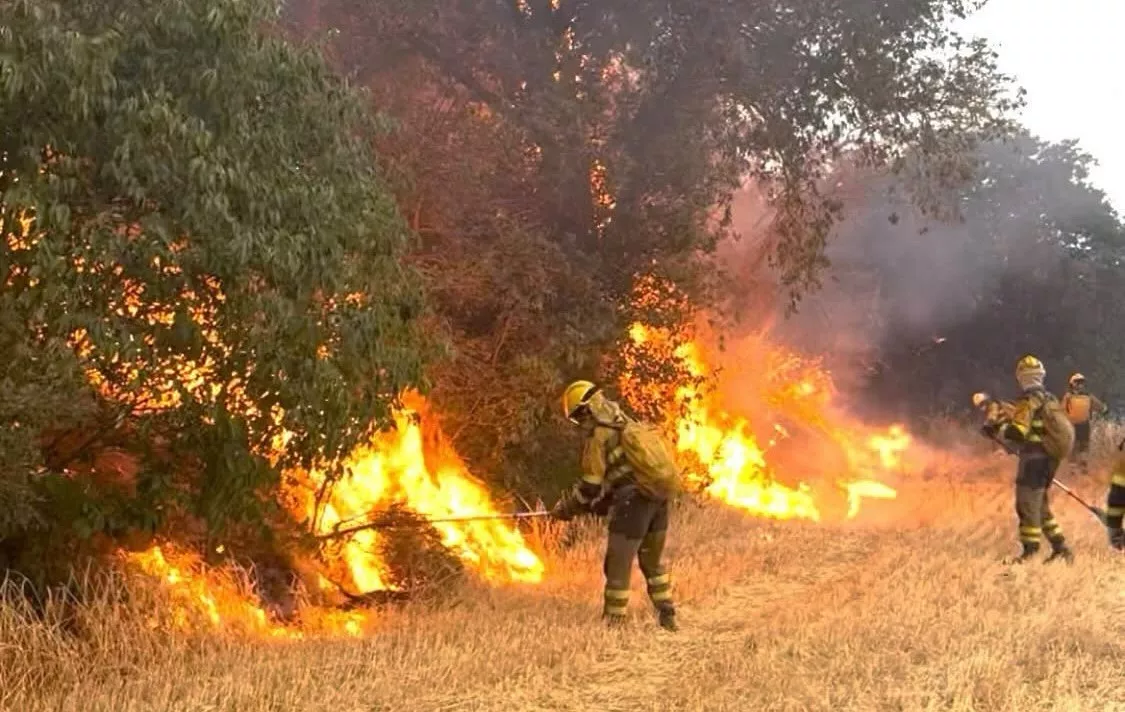 Imagen de labores contra el fuego en el incendio de Tamarite.