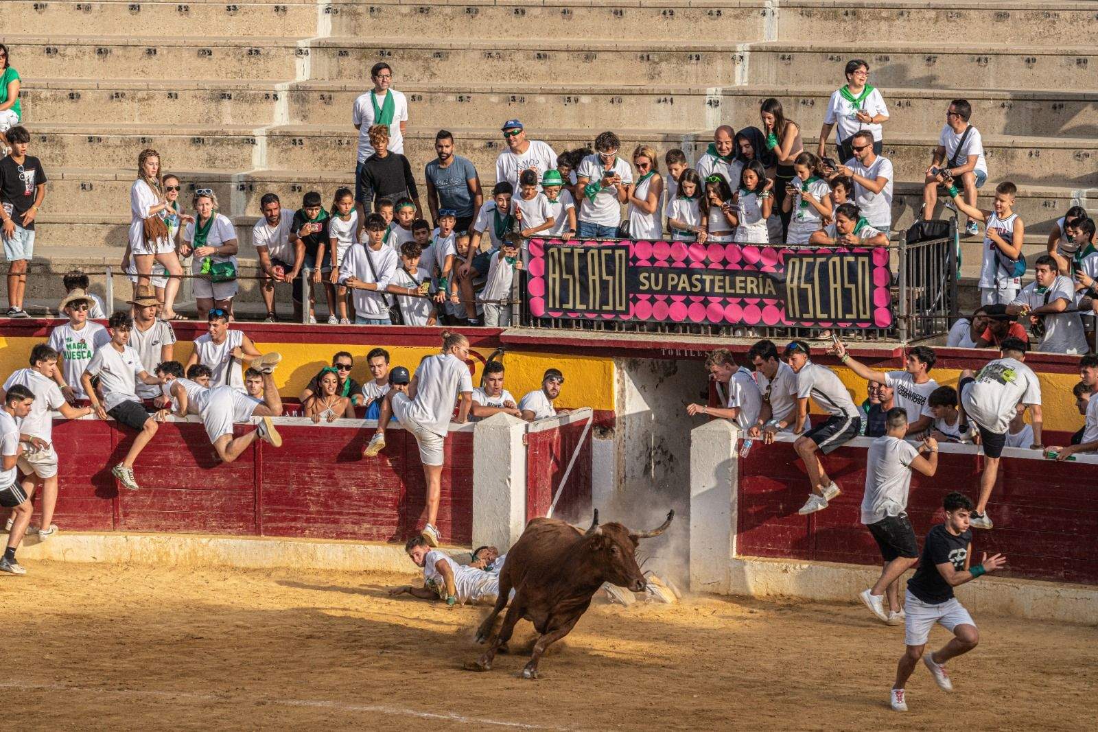 Vaquillas en la jornada de este sábado. Foto José Antonio Terrón 