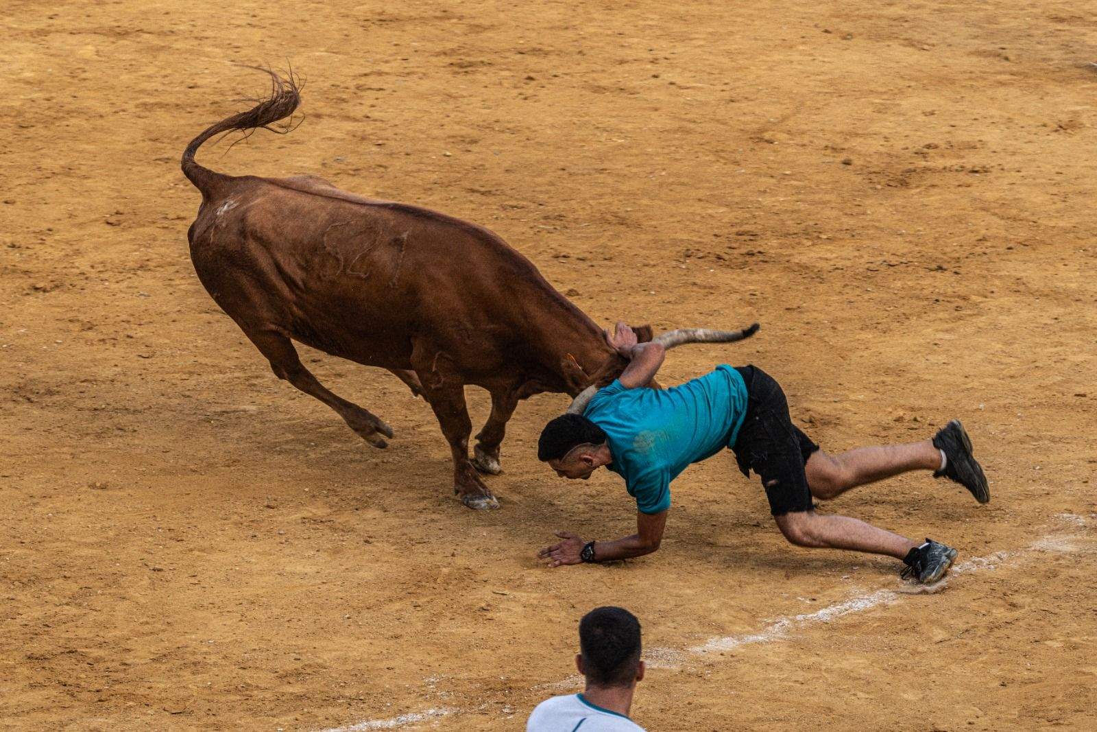 Vaquillas en la jornada de este sábado. Foto José Antonio Terrón 