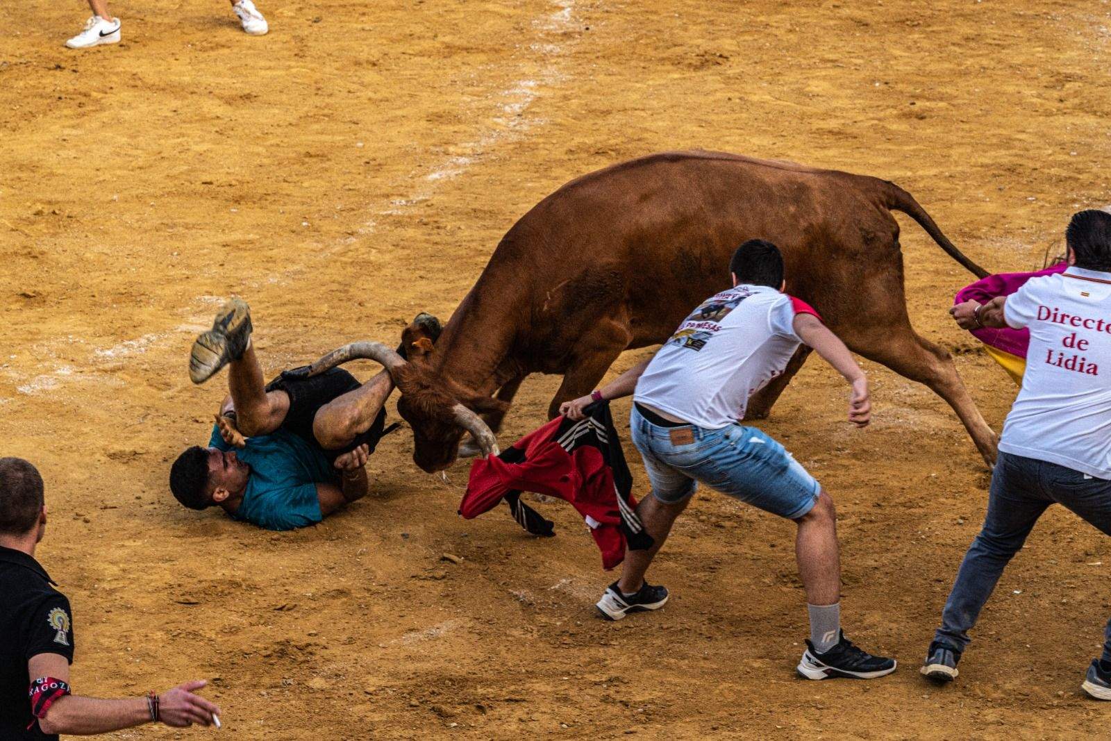 Vaquillas en la jornada de este sábado. Foto José Antonio Terrón 