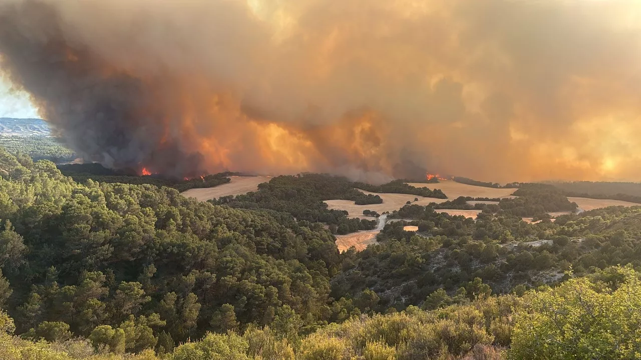 Incendio entre Leciñena y Robres
