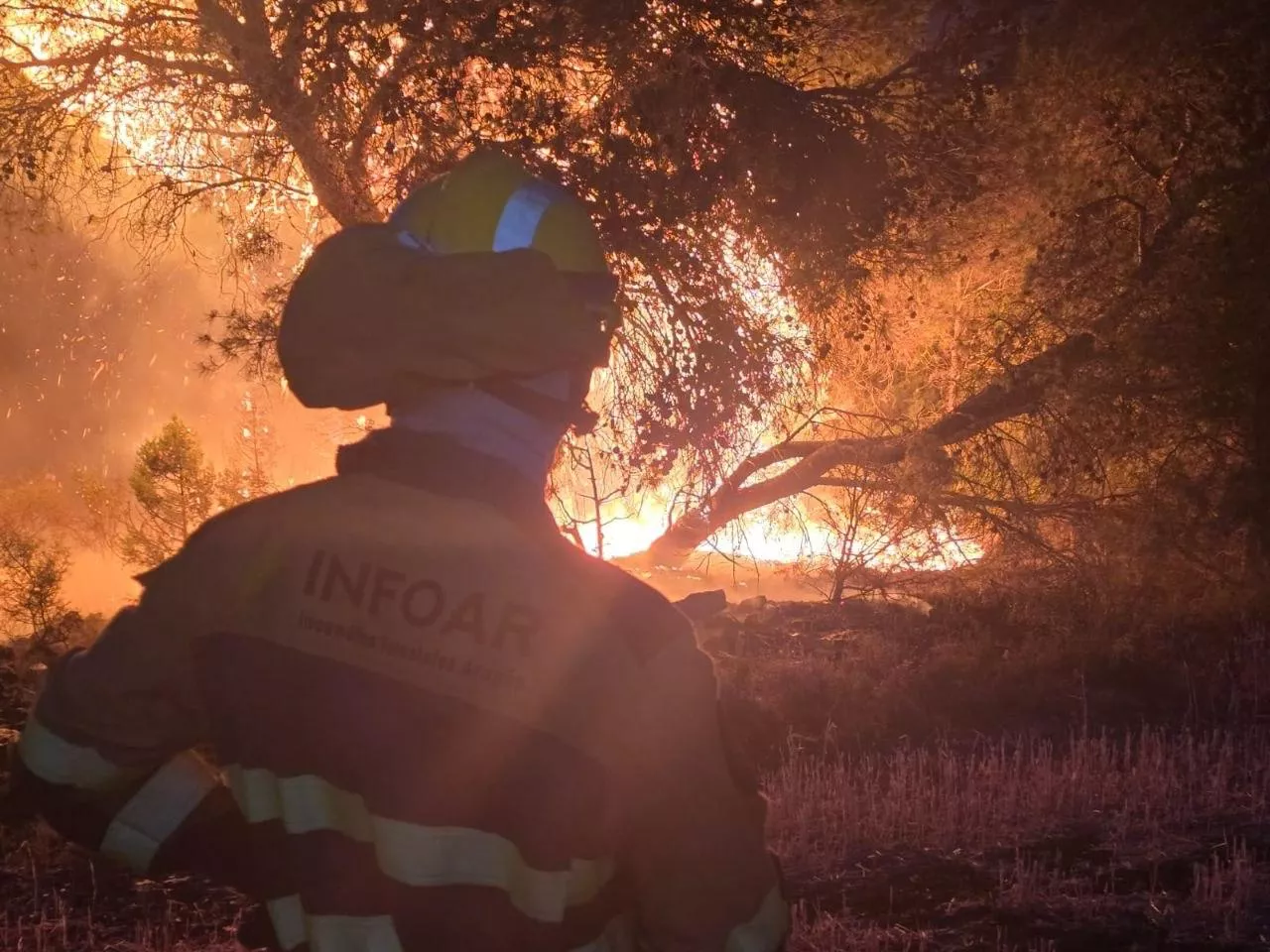 Incendio declarado este martes en la Sierra de Alcubierre