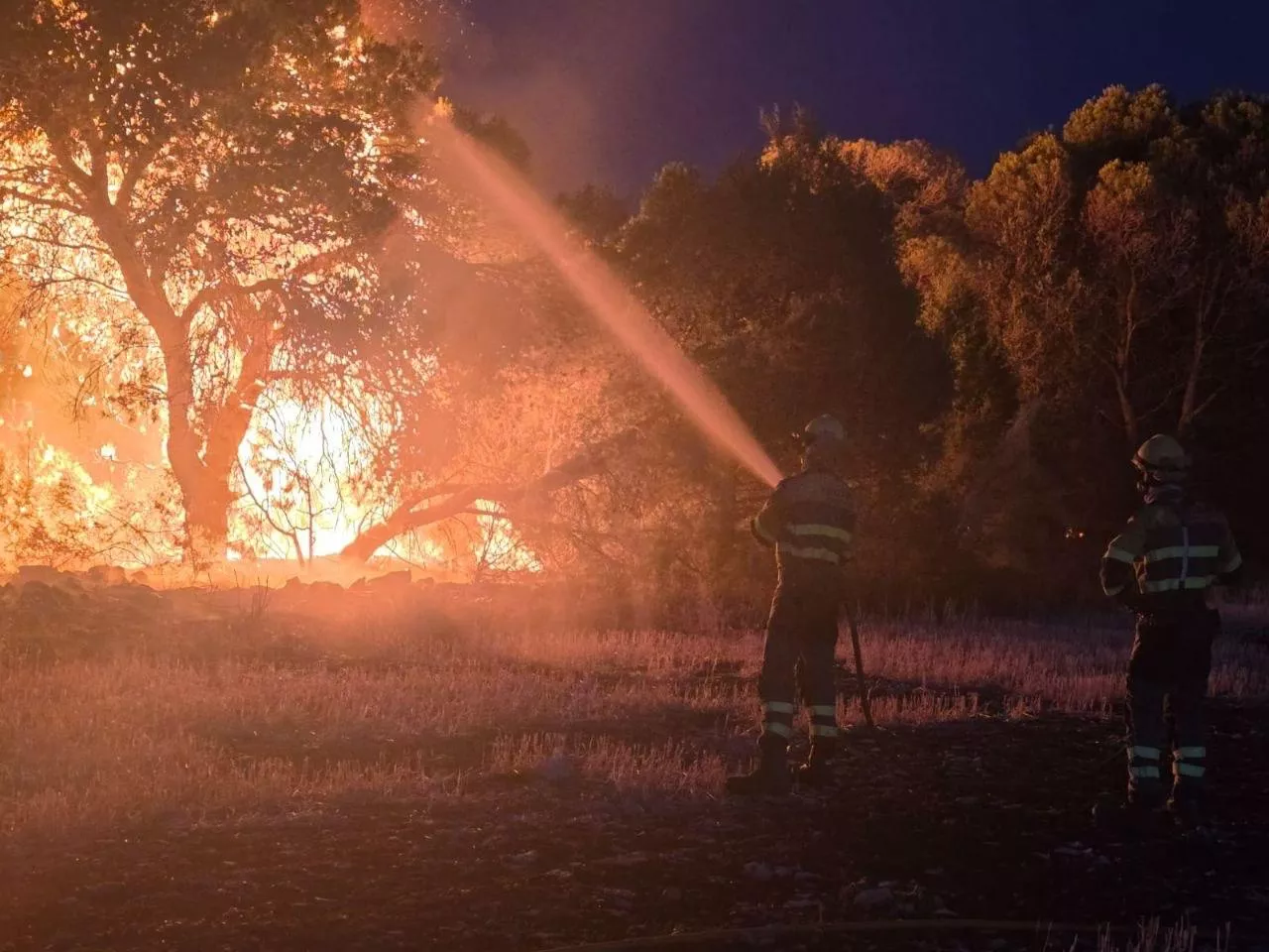 Incendio declarado este martes en la Sierra de Alcubierre