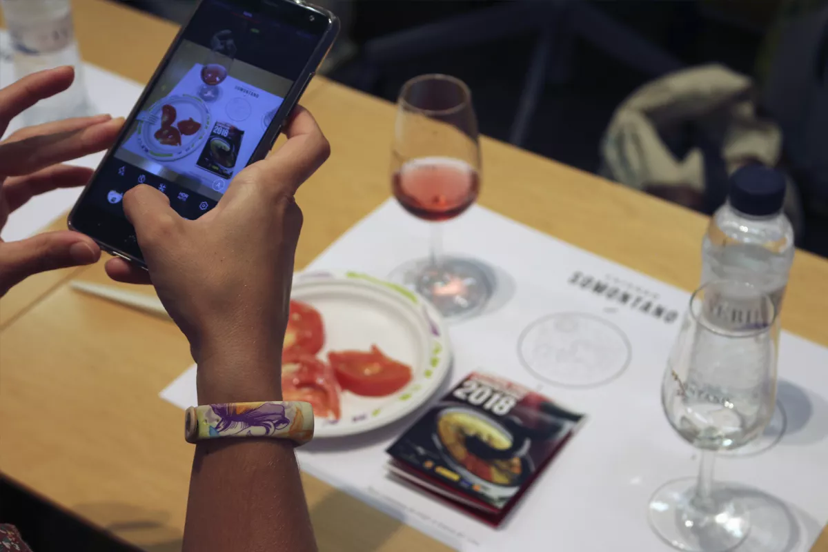 Presentación y artistas del Festival de Vino Somontano 2026