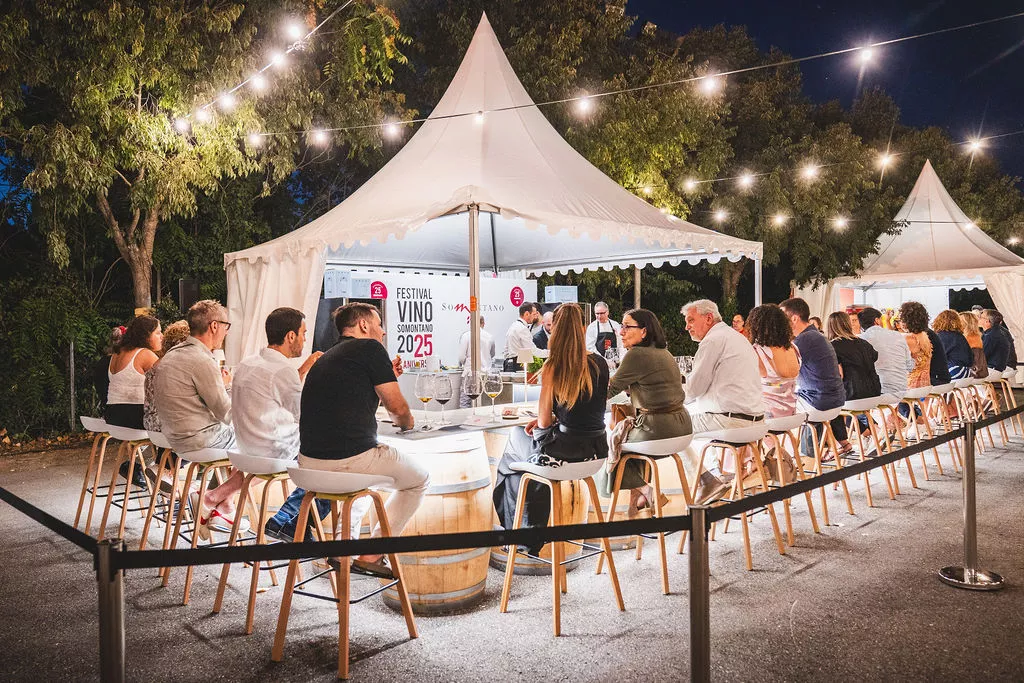 Presentación y artistas del Festival de Vino Somontano 2026