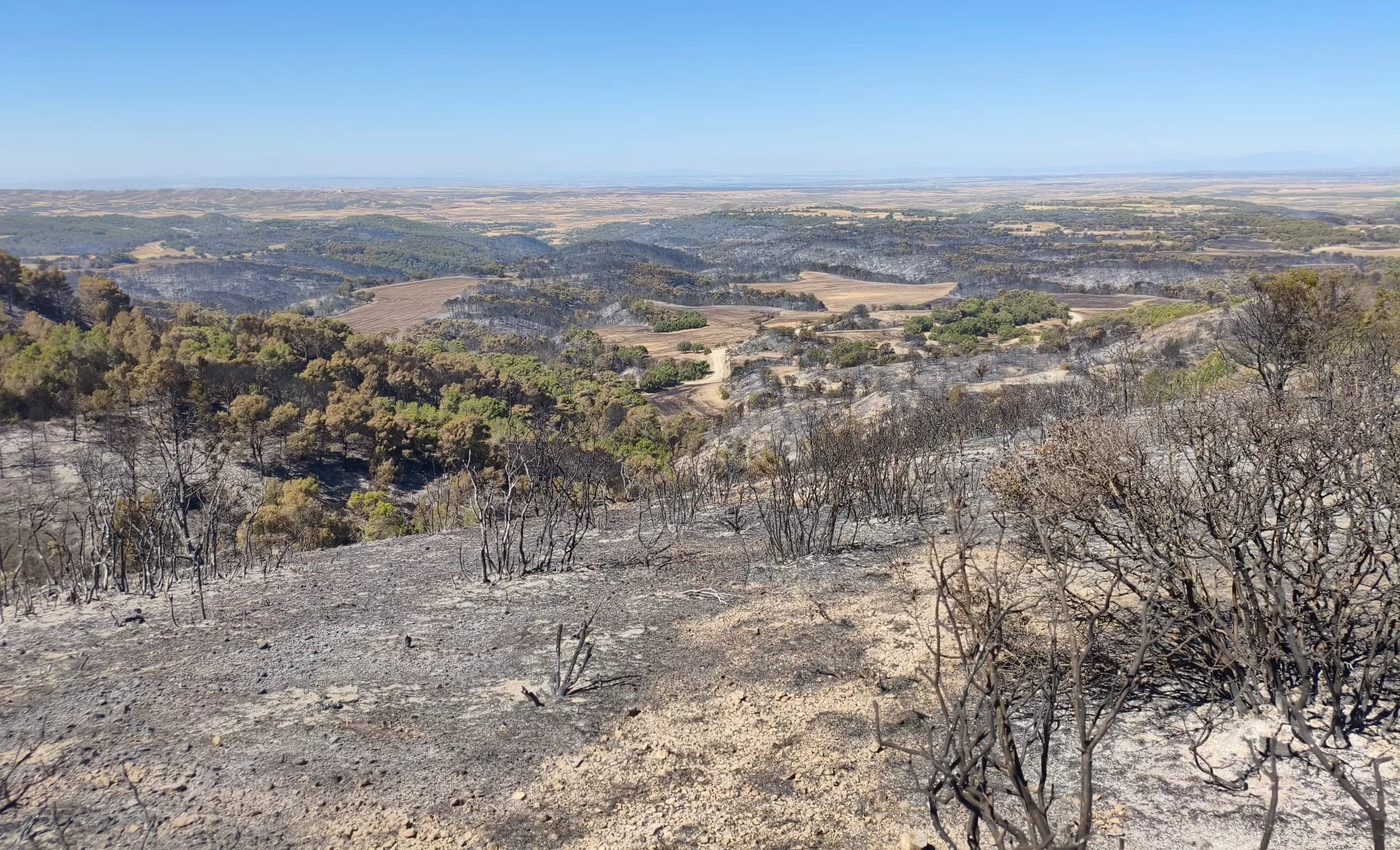 Zona afectada por el fuego en la Sierra de Alcubierre.