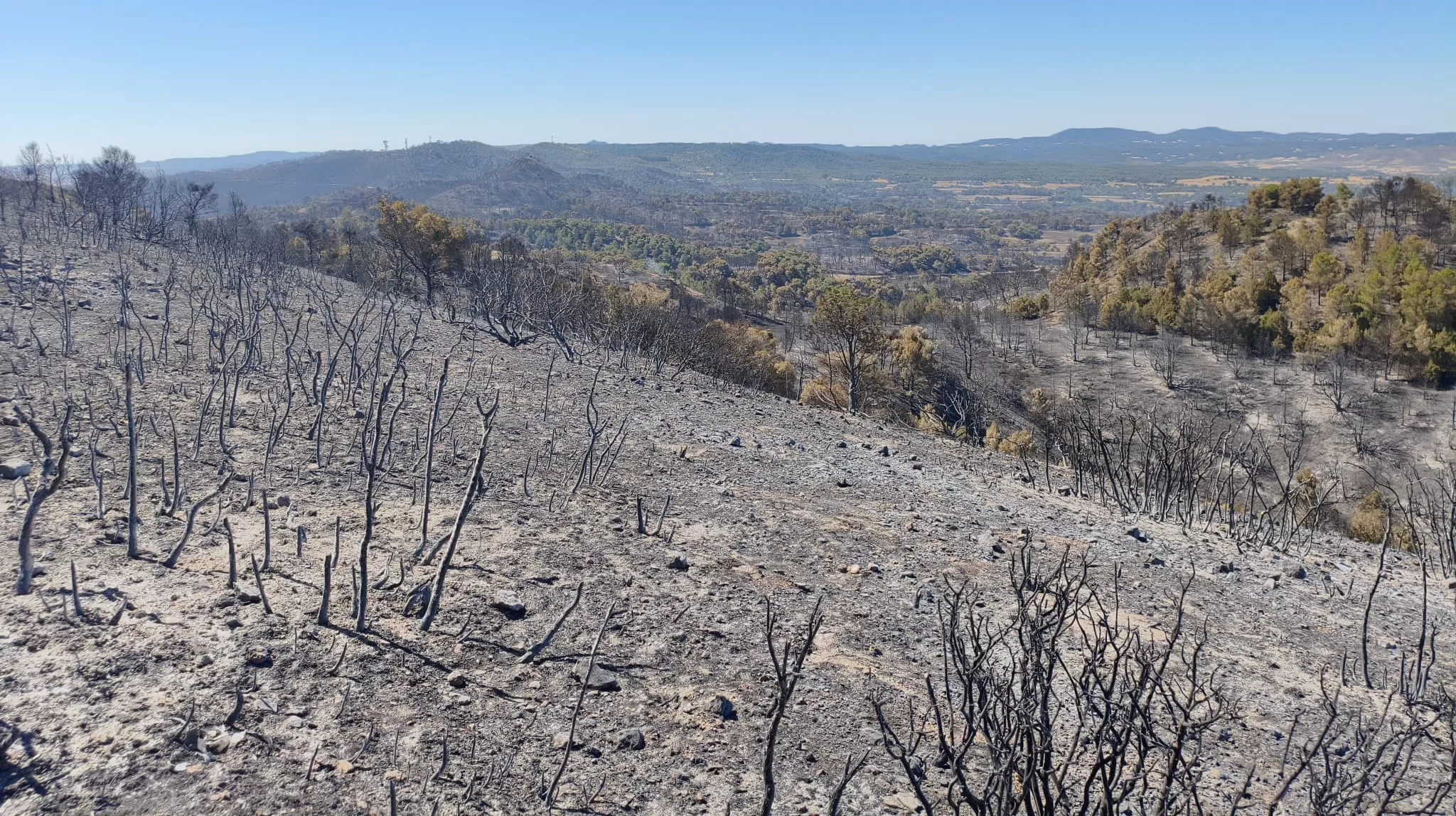 Zona afectada por el fuego en la Sierra de Alcubierre.