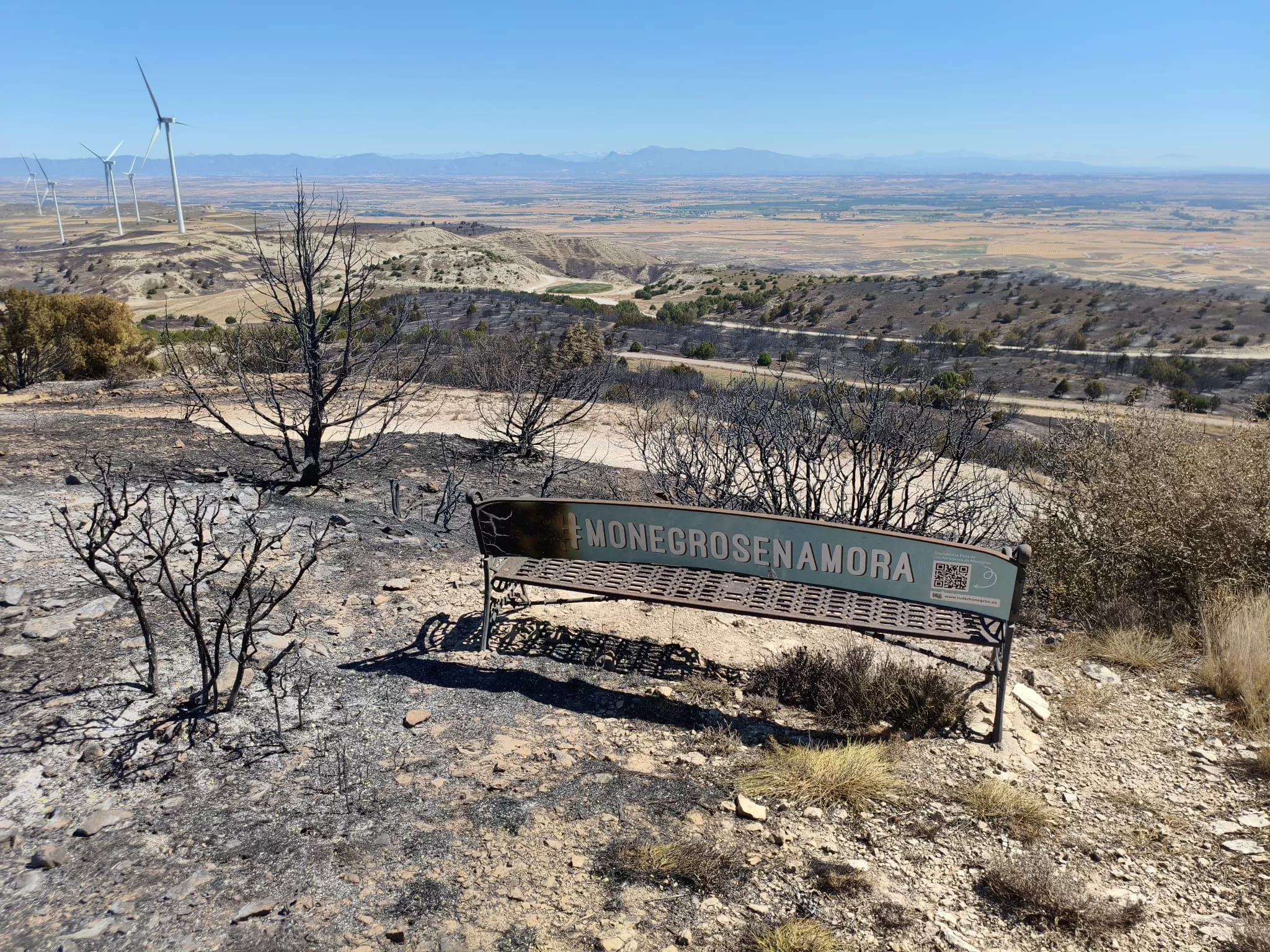 Zona afectada por el fuego en la Sierra de Alcubierre.