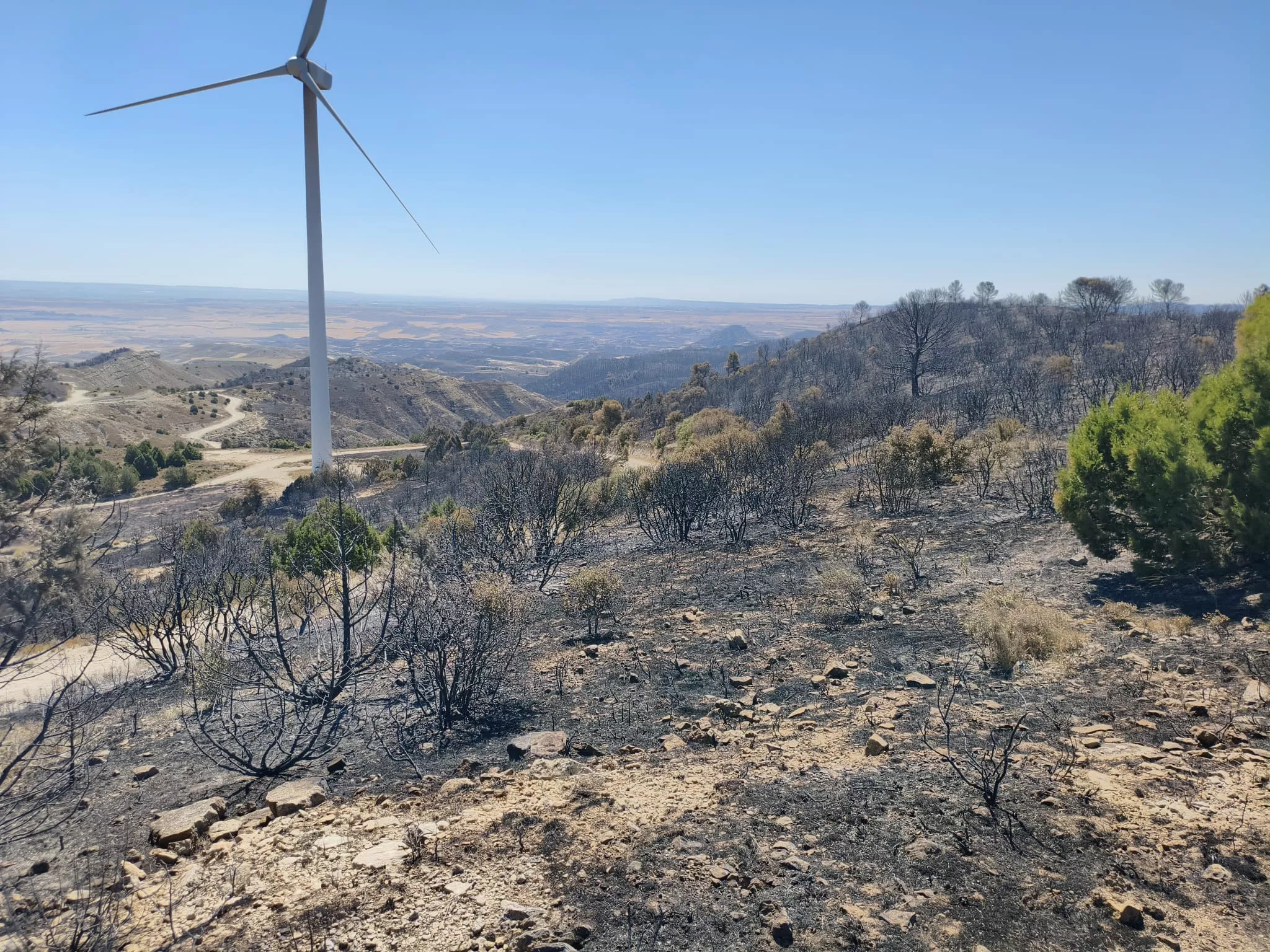 Zona afectada por el fuego en la Sierra de Alcubierre.