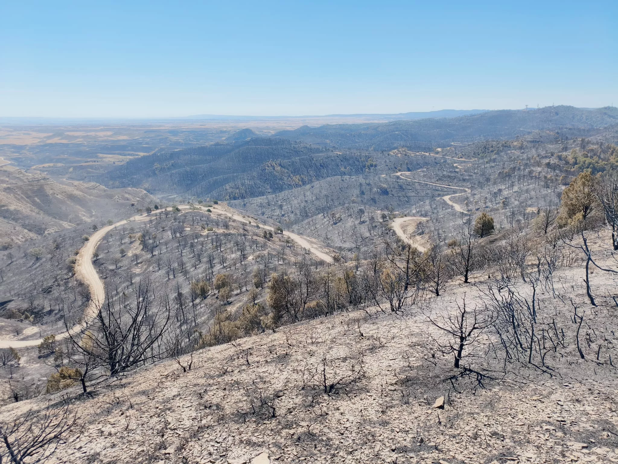 Zona afectada por el fuego en la Sierra de Alcubierre.