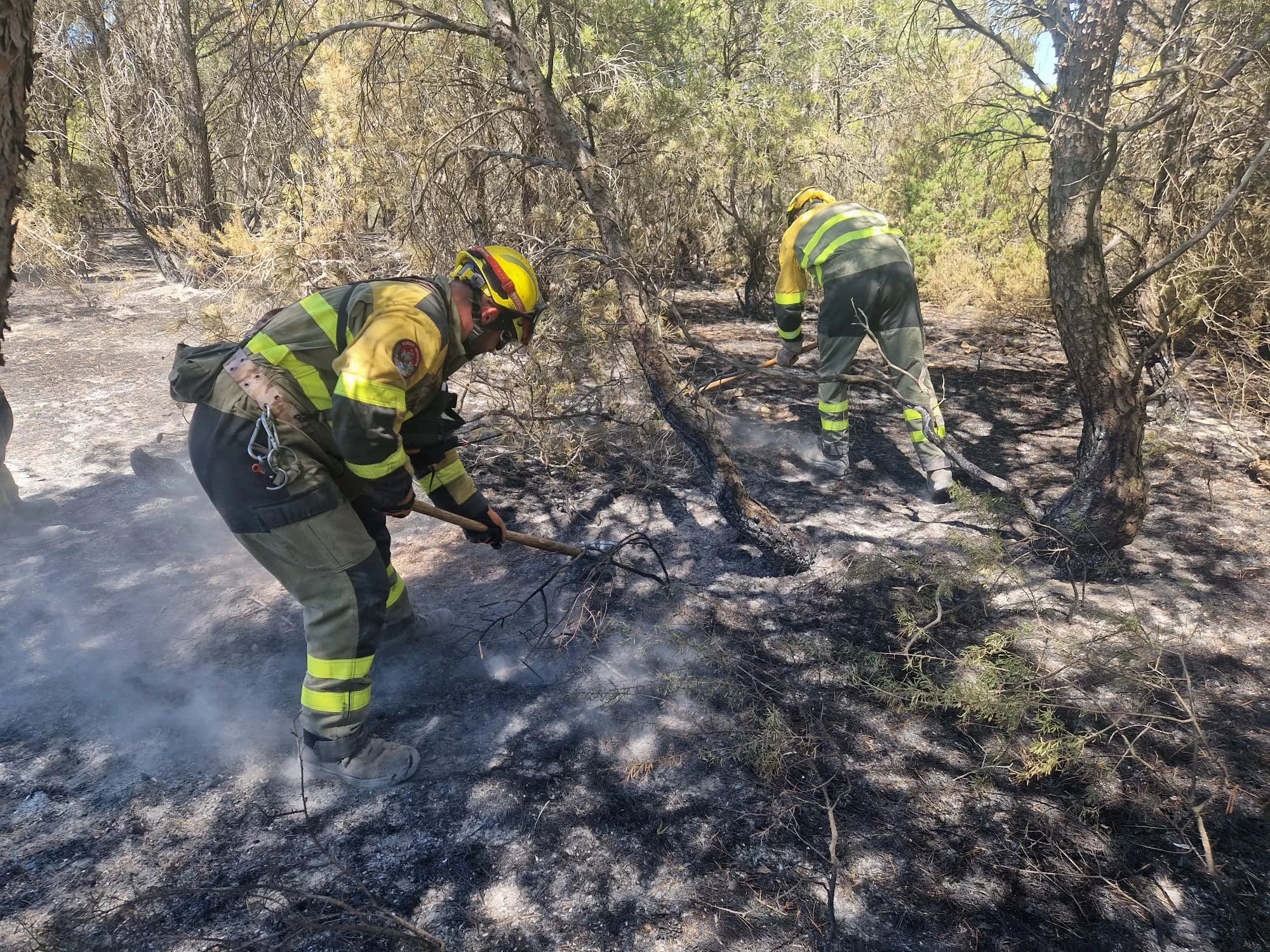 Operativo del Infoar trabajando en la Sierra de Alcubierre.