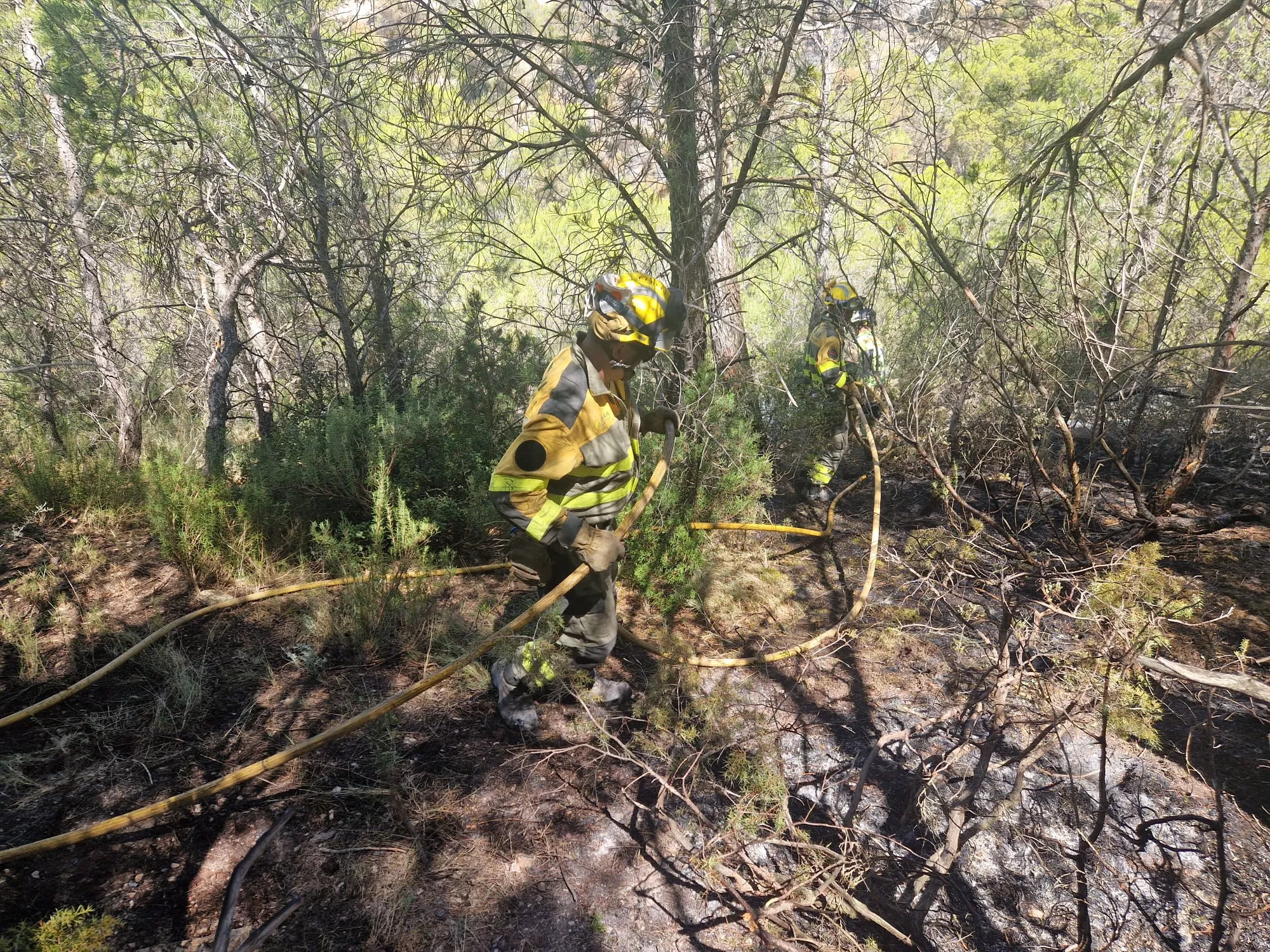 Operativo del Infoar trabajando en la Sierra de Alcubierre.