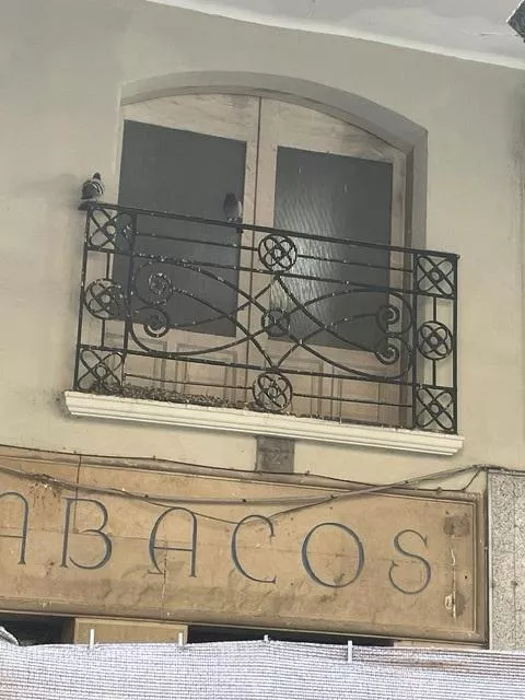 Estado del espacio vallado entre el Coso Alto y los Porches de Galicia.
