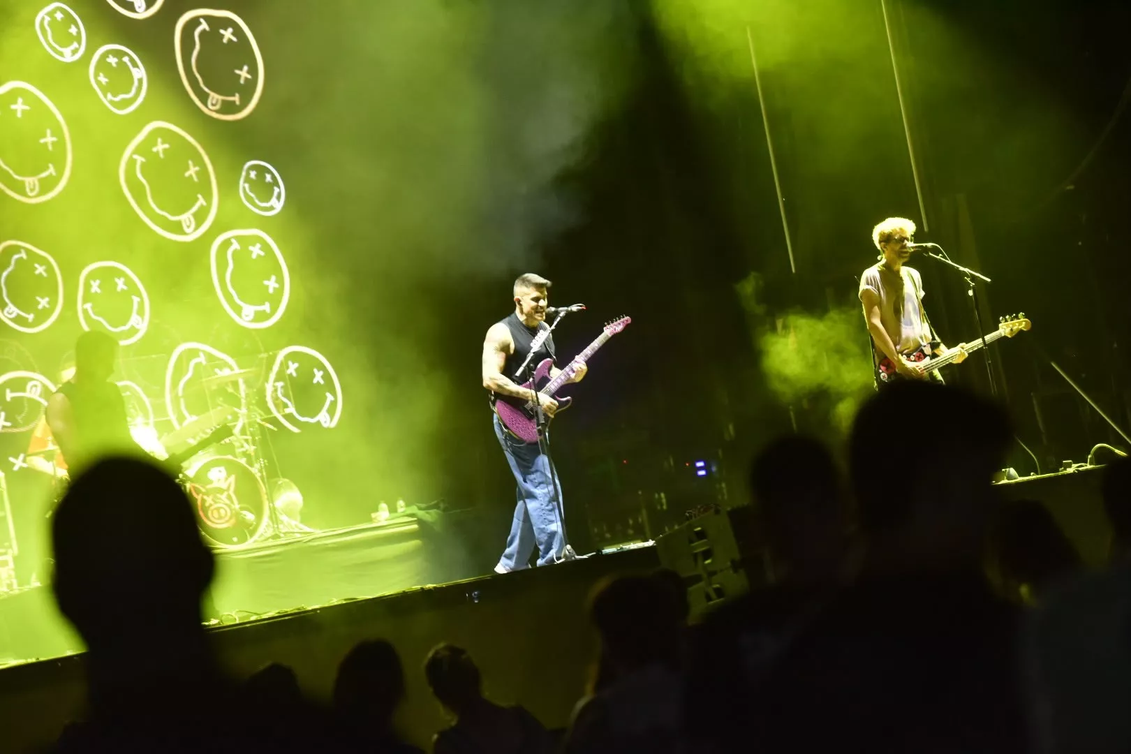 Dipufest en la Pinada