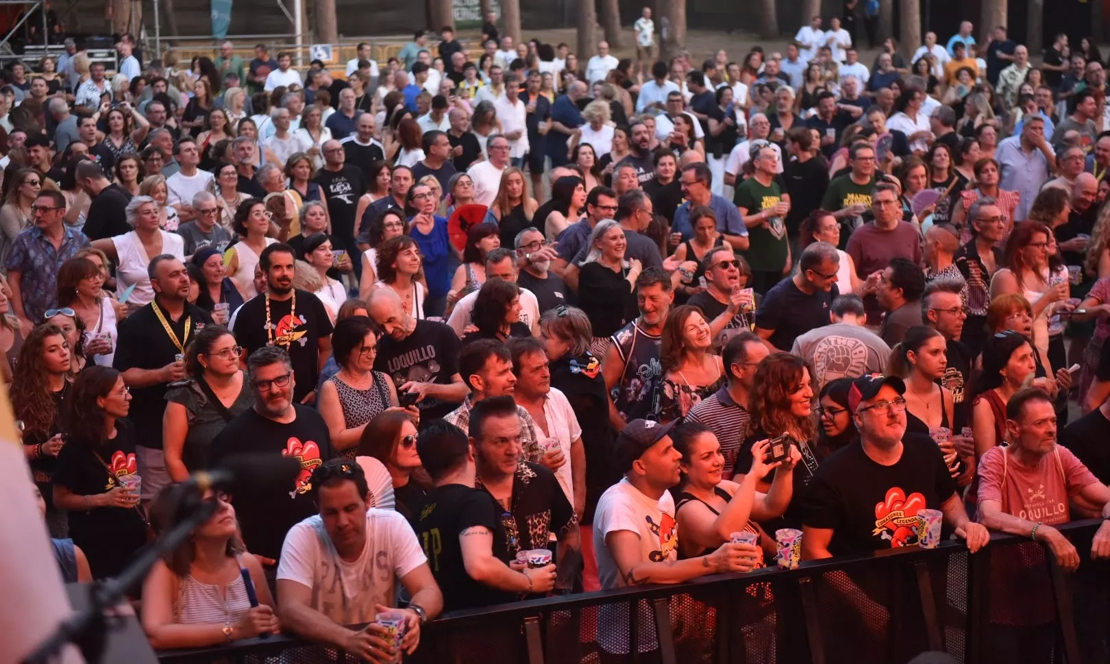 Celebración del Dipufest en el parque de La Pinada de Fraga
