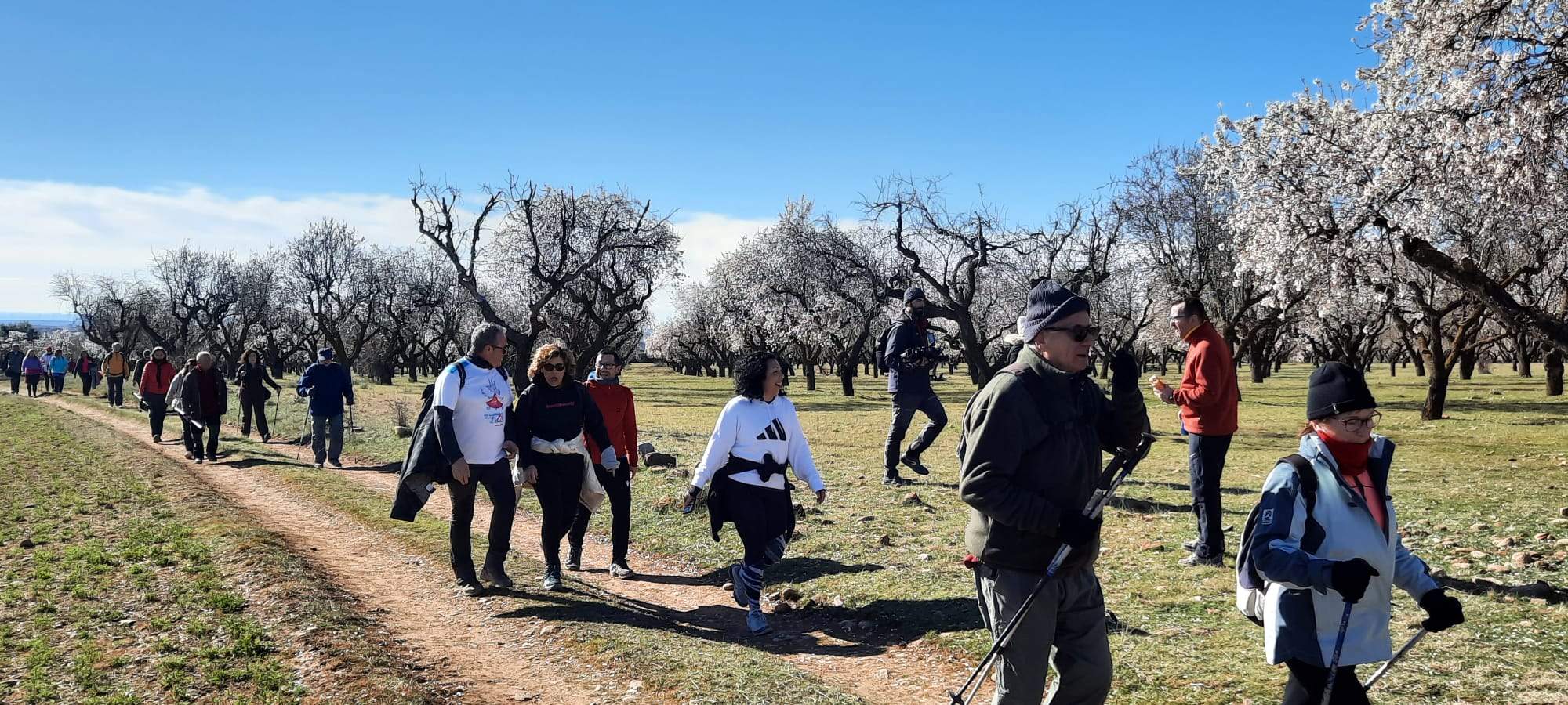 Jornada de deporte, naturaleza y convivencia alrededor de los almendros en flor.