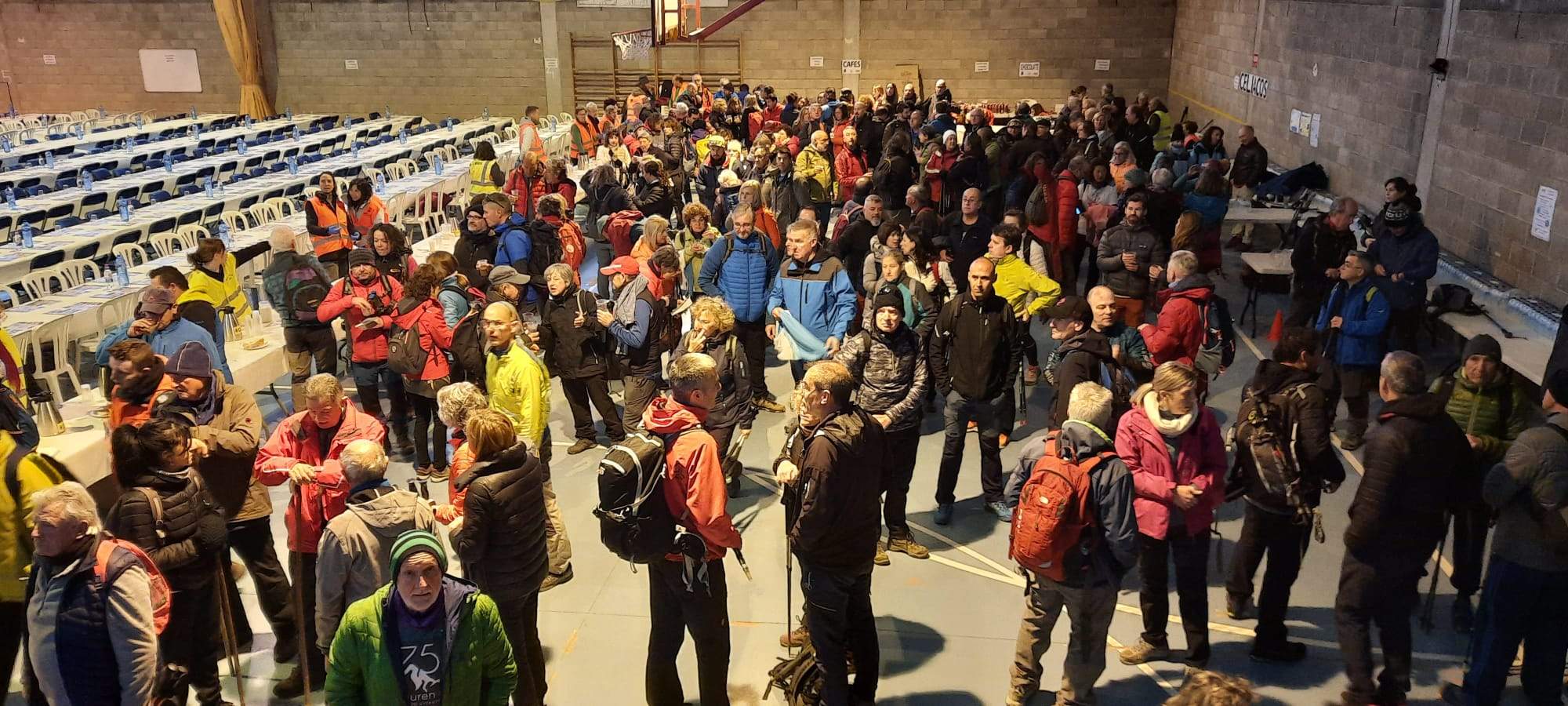 Caminata en la flor del almendro de Ayerbe