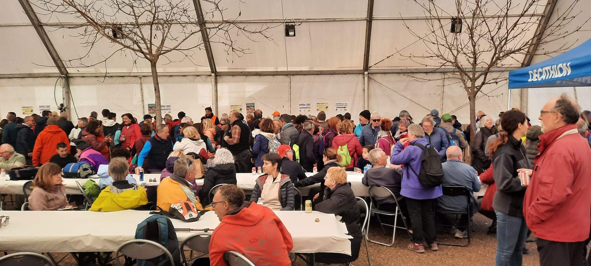 Caminata en la flor del almendro de Ayerbe