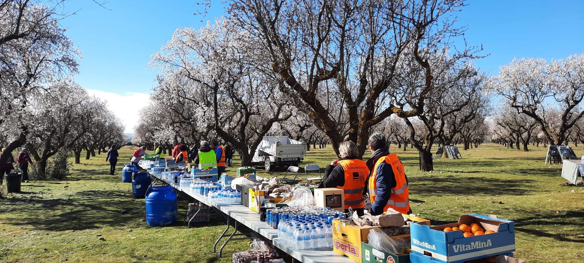 Caminata en la flor del almendro de Ayerbe