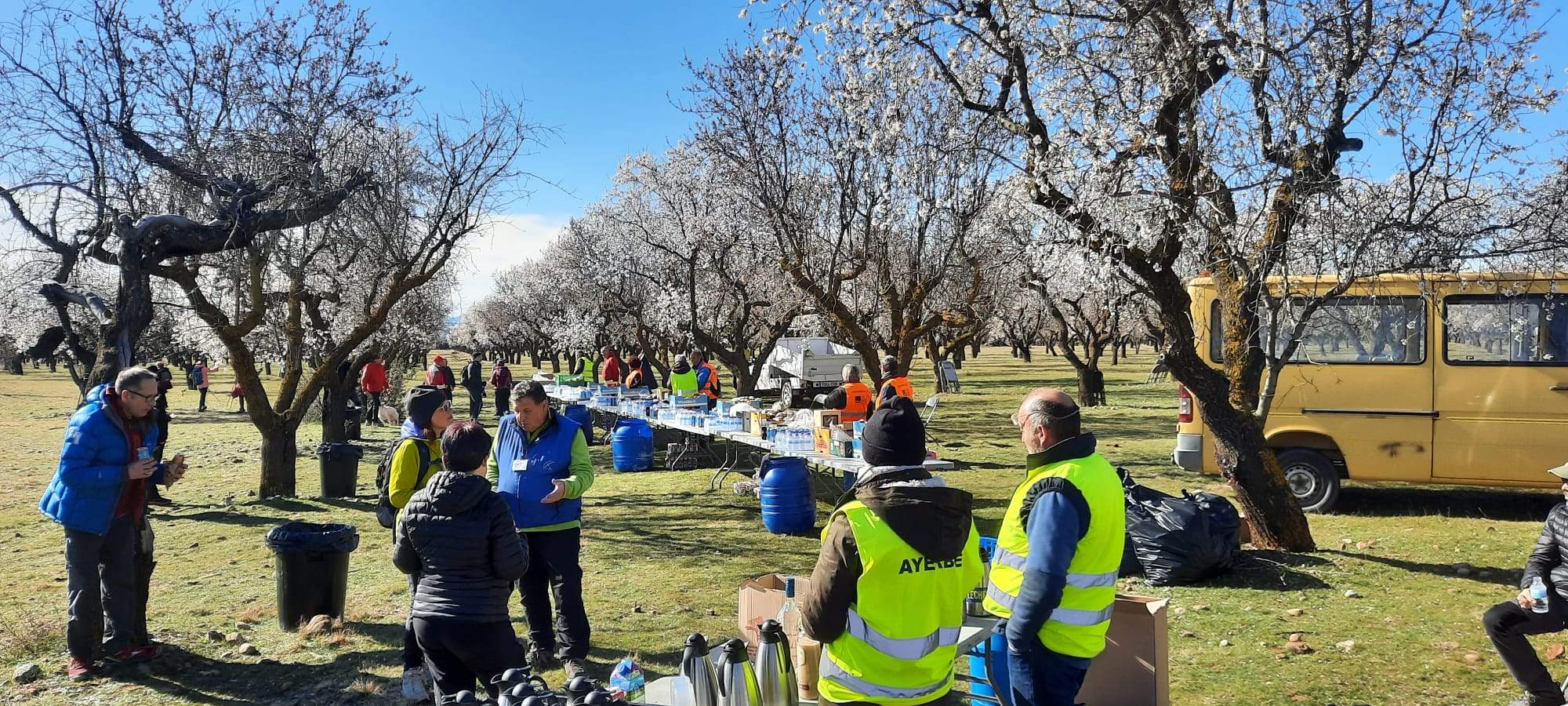 Imagen de la caminata en la Flor del Almendro de Ayerbe