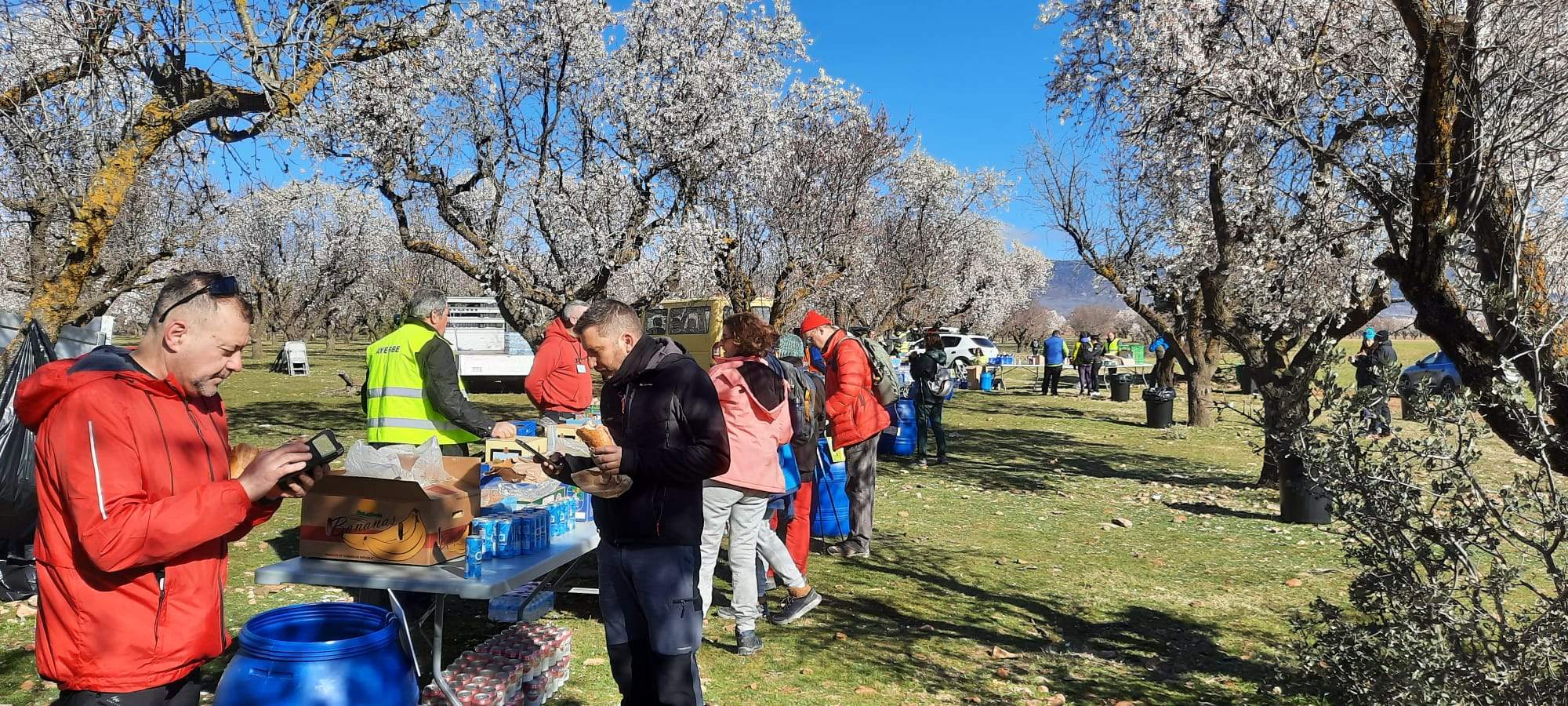 Caminata en la flor del almendro de Ayerbe